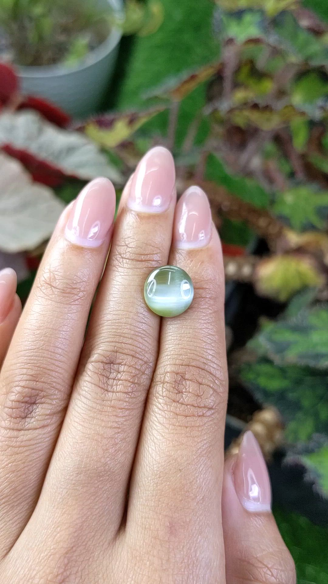 6.87 Ct. Brownish Green Cabochon Chrysoberyl from Ceylon (Sri Lanka) Size Video