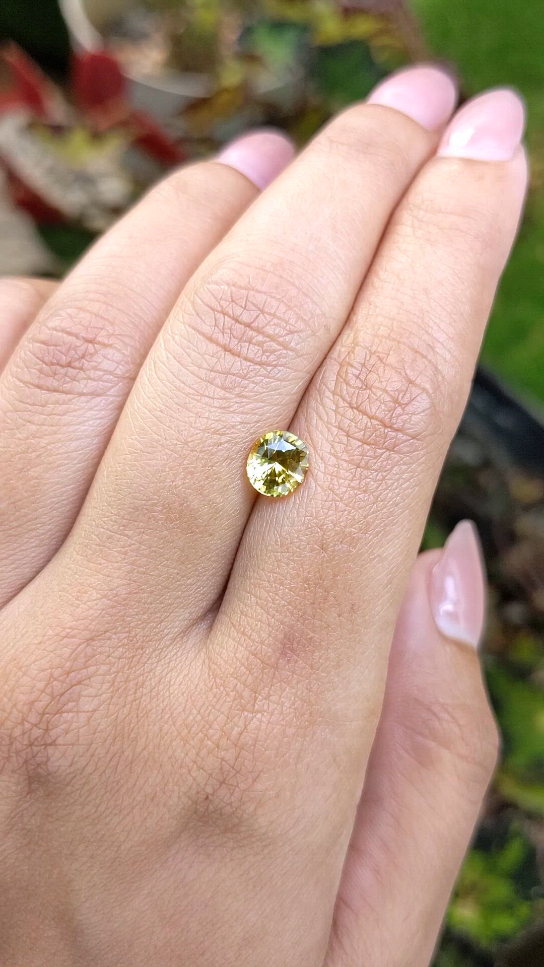 1.57 Ct. Greenish Yellow Chrysoberyl from Ceylon (Sri Lanka) Size Video