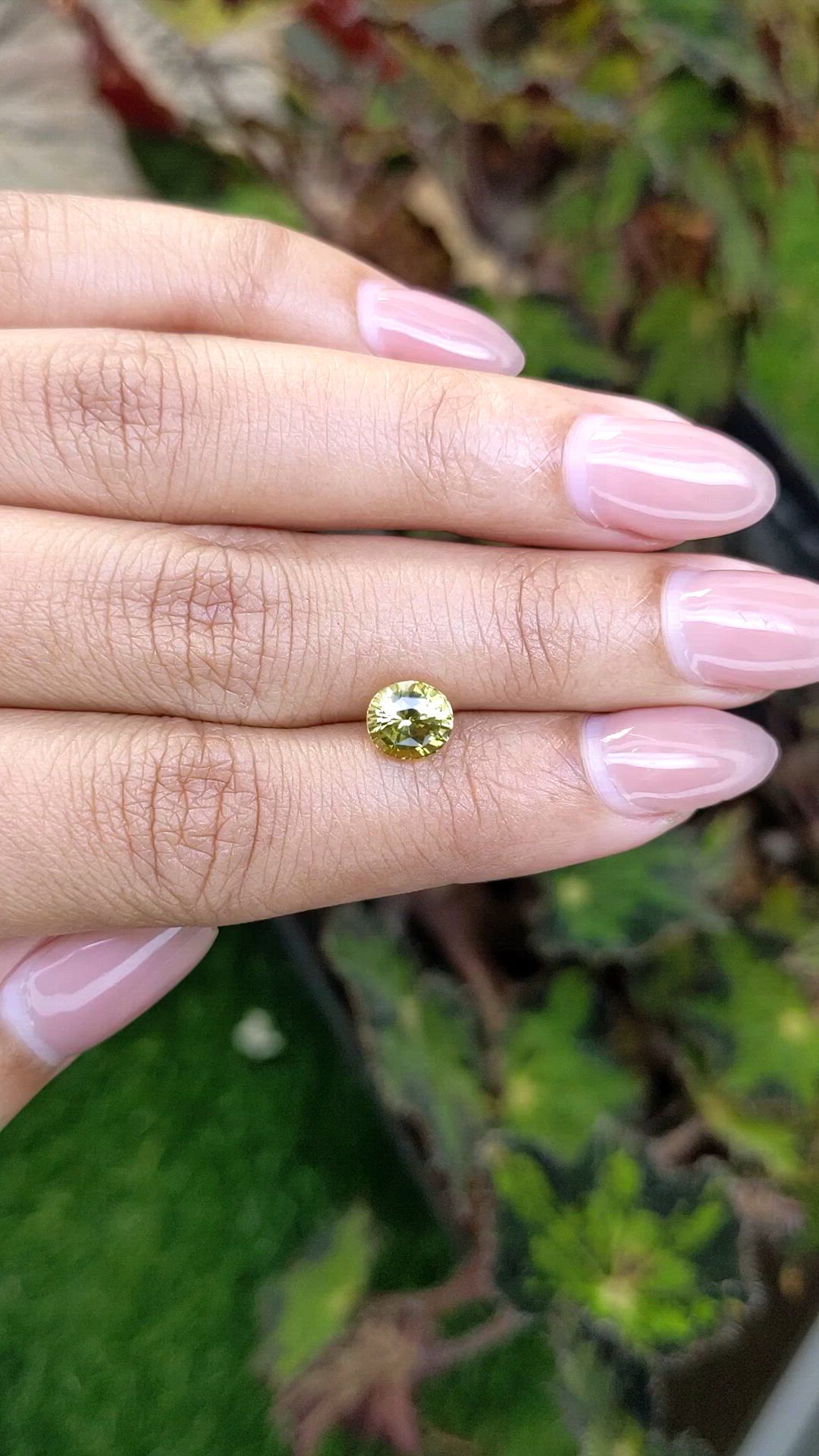 1.57 Ct. Greenish Yellow Chrysoberyl from Ceylon (Sri Lanka) Size Video
