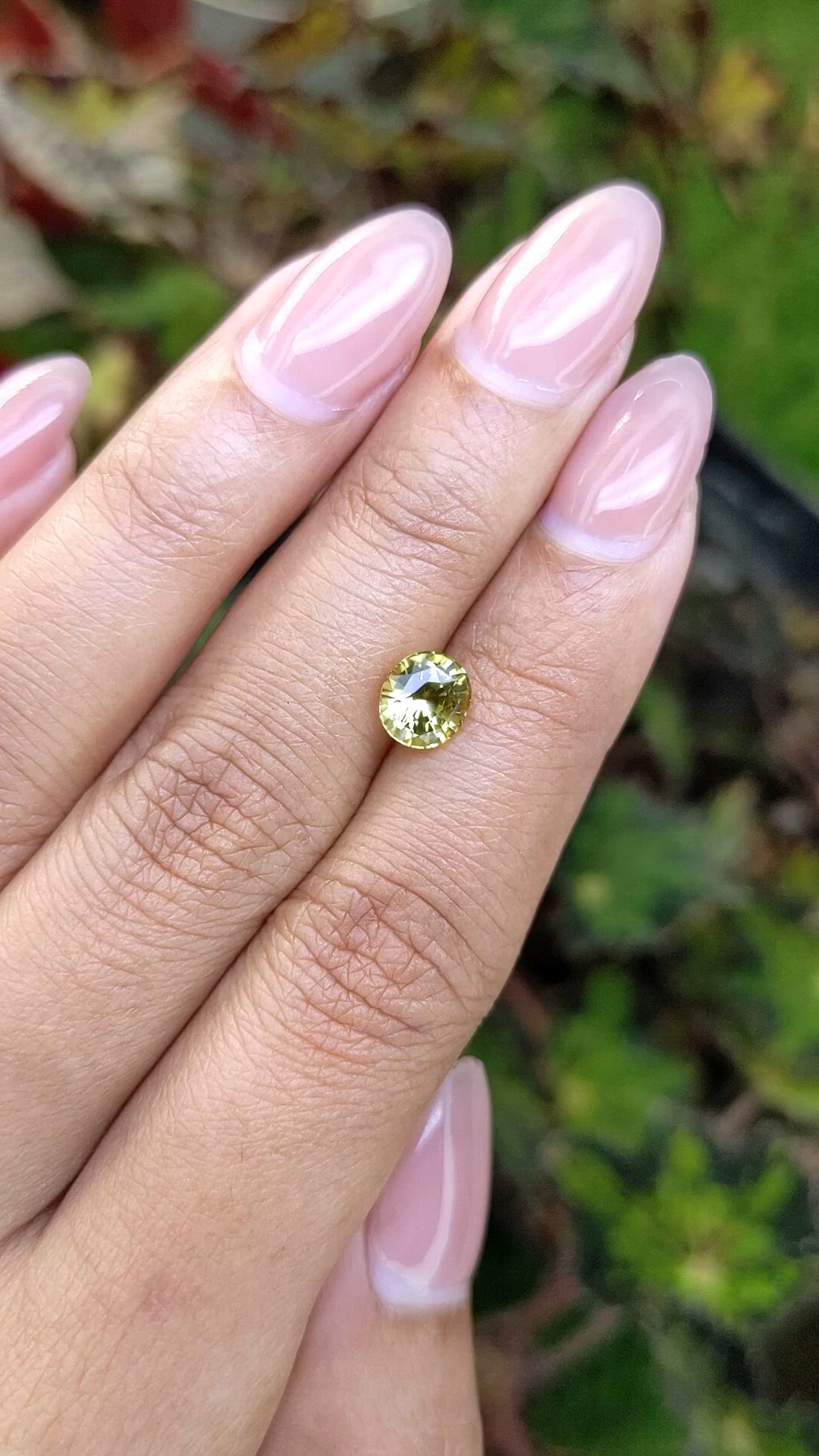 1.57 Ct. Greenish Yellow Chrysoberyl from Ceylon (Sri Lanka) Size Video