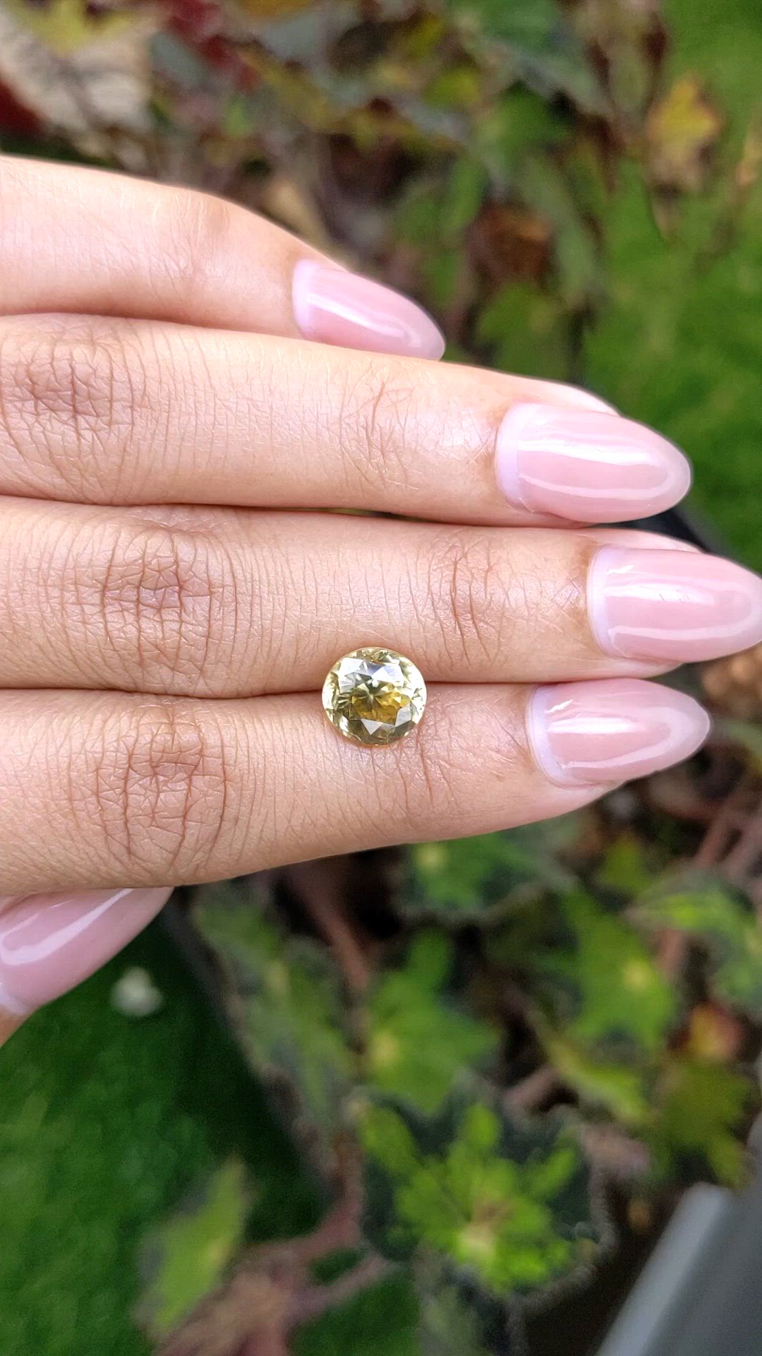 4.65 Ct. Brownish Yellow Zircon from Ceylon (Sri Lanka) Size Video