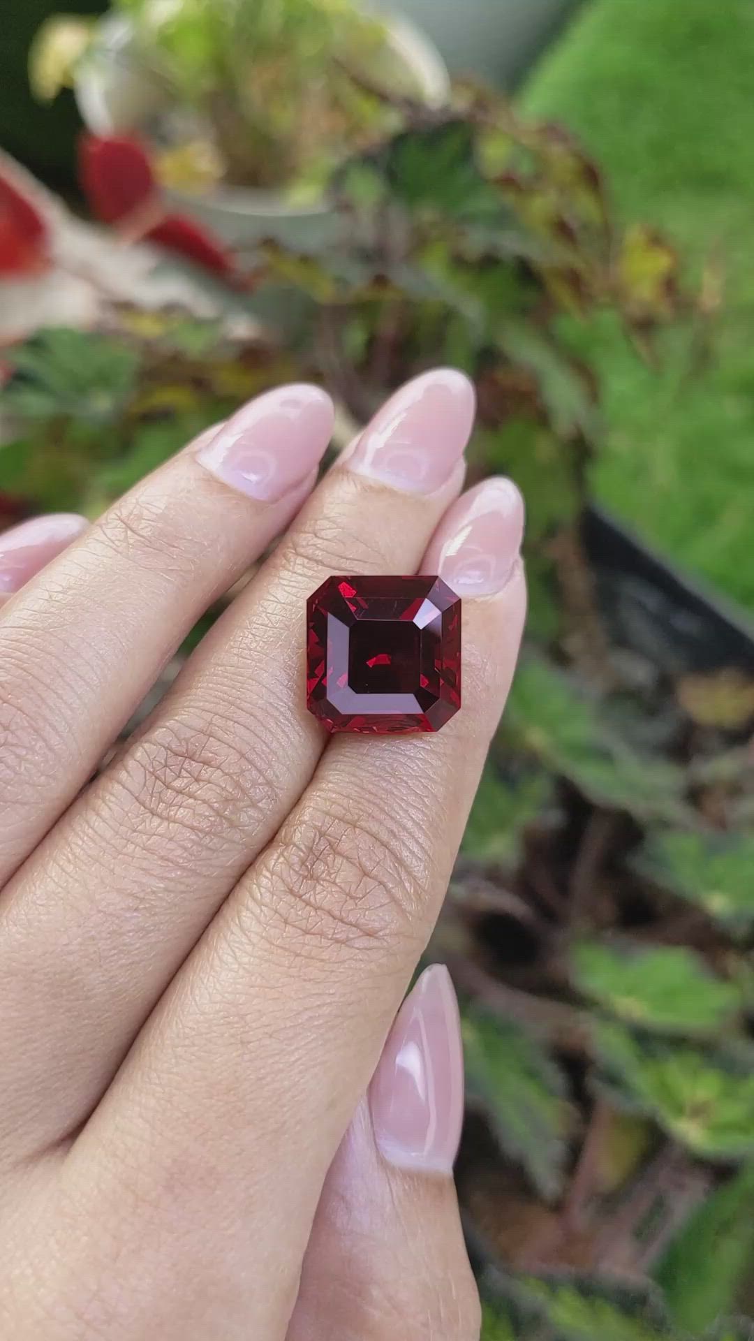 19.05 Ct. Red Garnet from Ceylon (Sri Lanka) Size Video