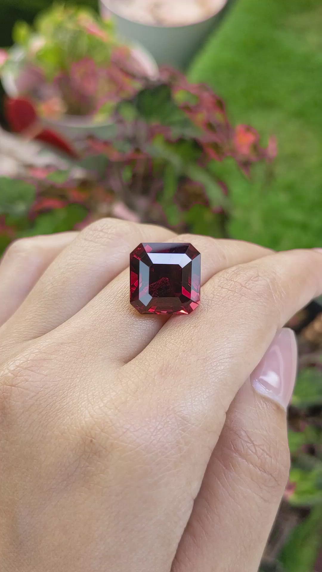 19.05 Ct. Red Garnet from Ceylon (Sri Lanka) Size Video
