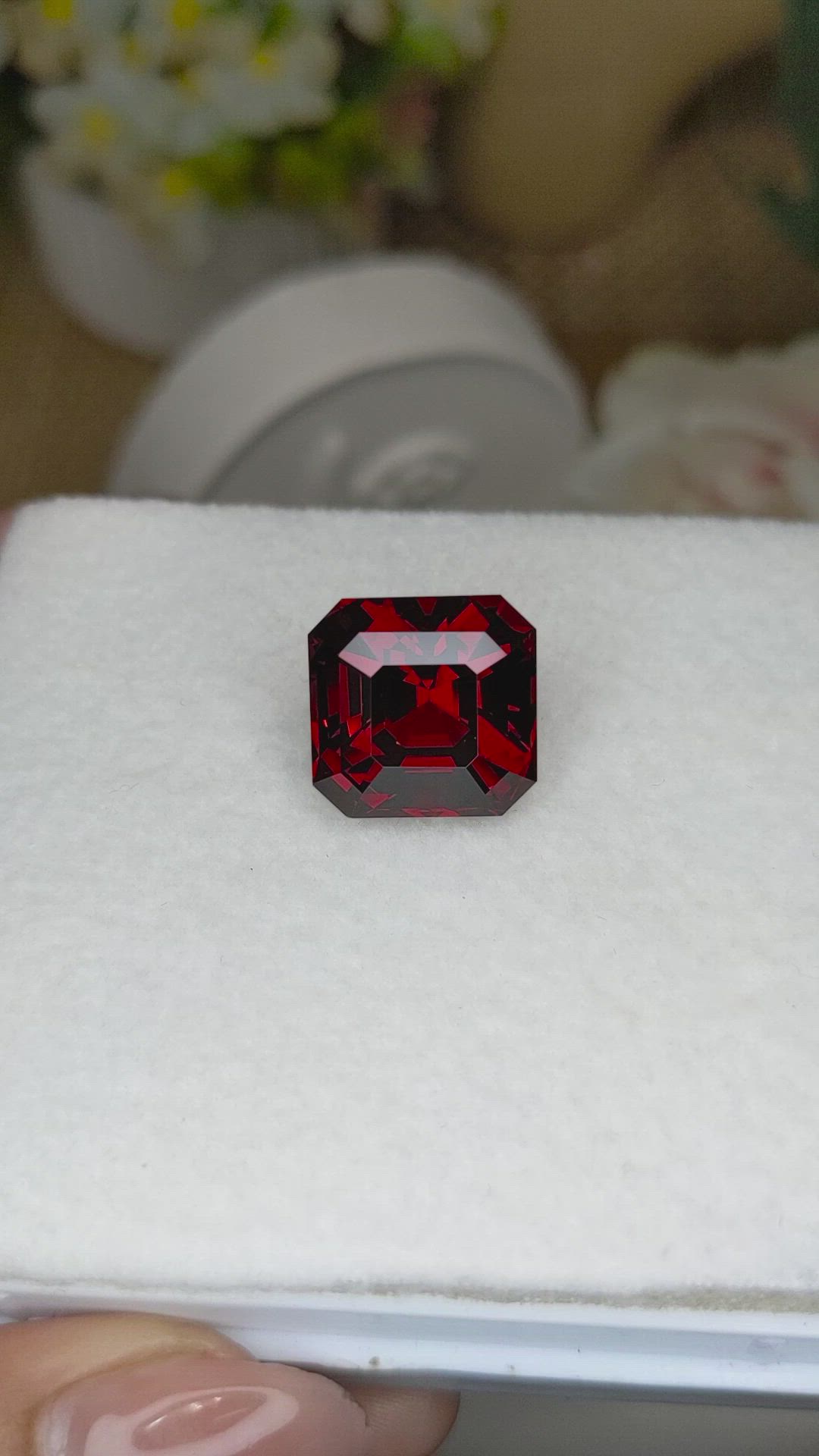 19.05 Ct. Red Garnet from Ceylon (Sri Lanka) Size Video