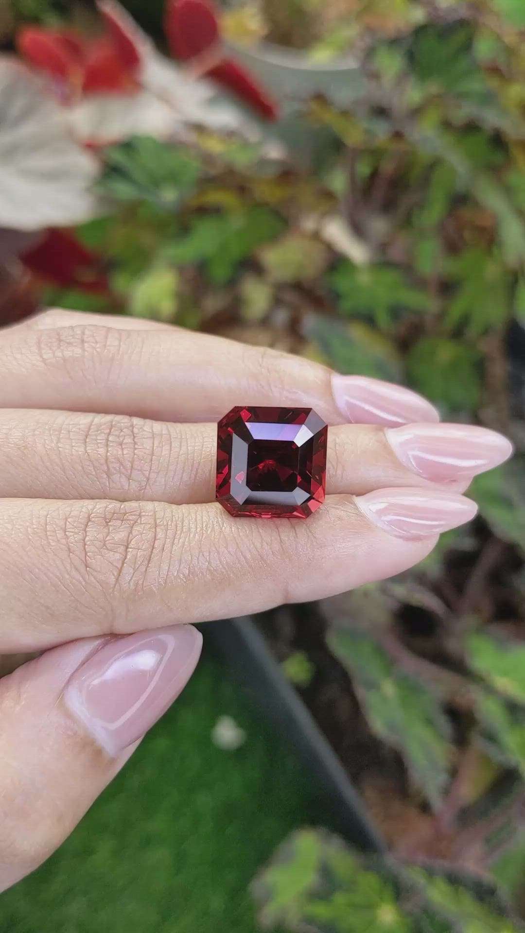 19.05 Ct. Red Garnet from Ceylon (Sri Lanka) Size Video