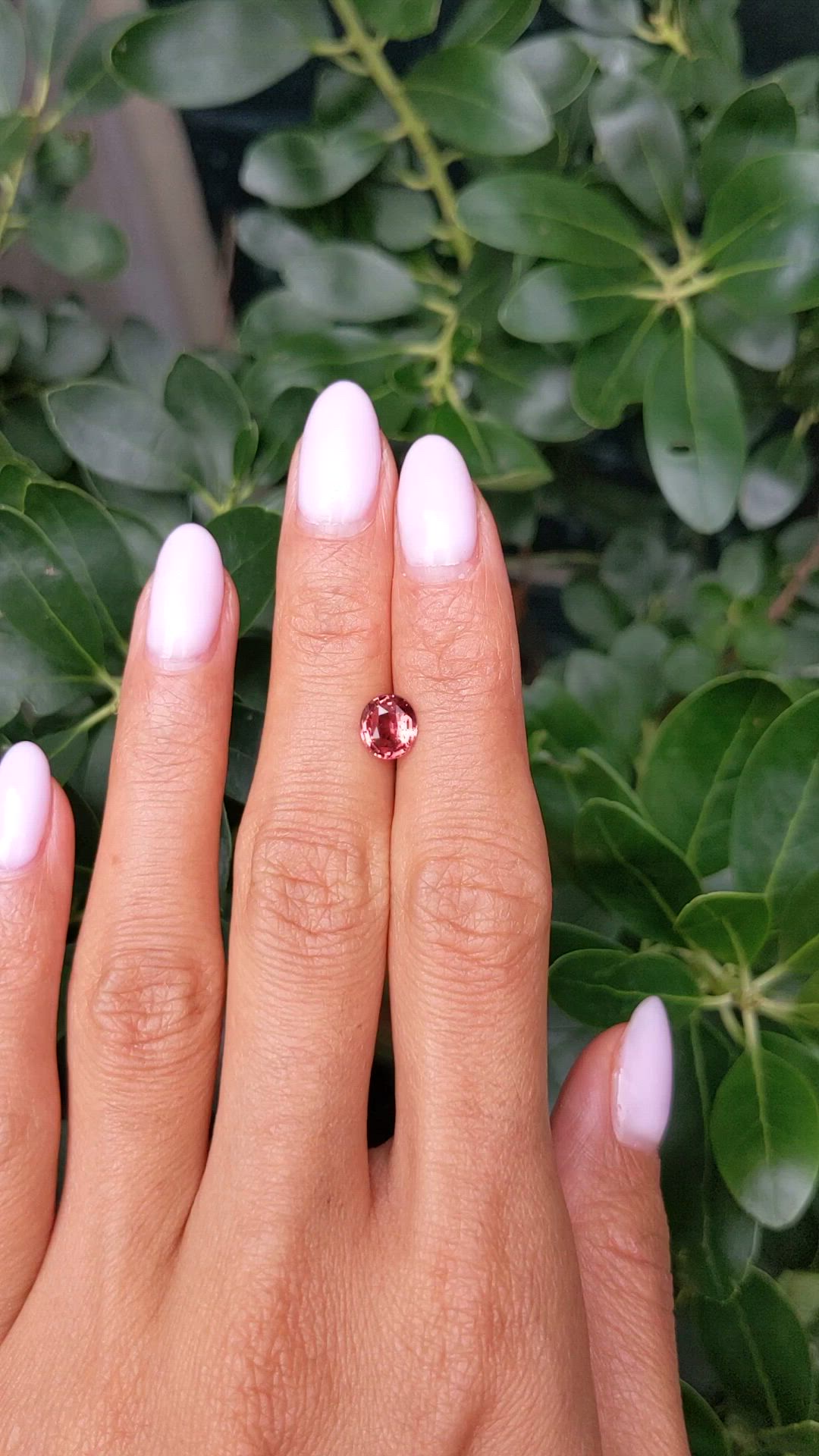1.28 Ct. Red Garnet from Ceylon (Sri Lanka) Size Video