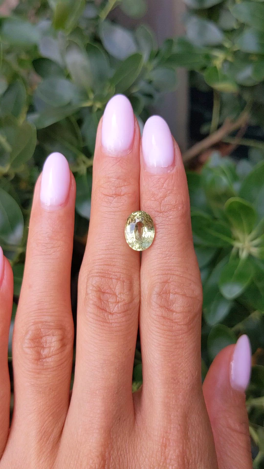 4.00 Ct. Yellowish Green Chrysoberyl from Ceylon (Sri Lanka) Size Video