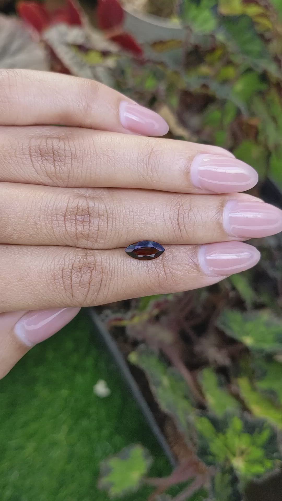 1.00 Ct. Brown Smoky Quartz from Ceylon (Sri Lanka) Size Video