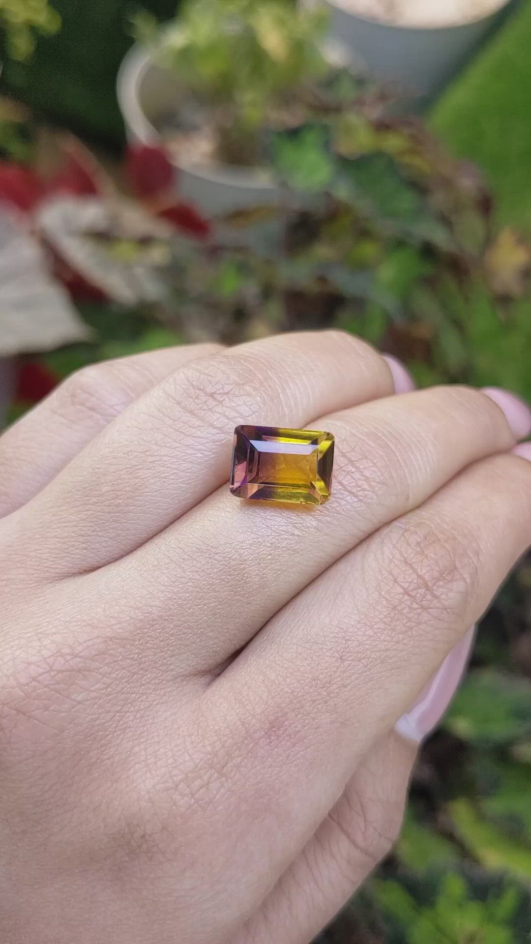 5.63 Ct. Bi Color Ametrine from Brazil Size Video
