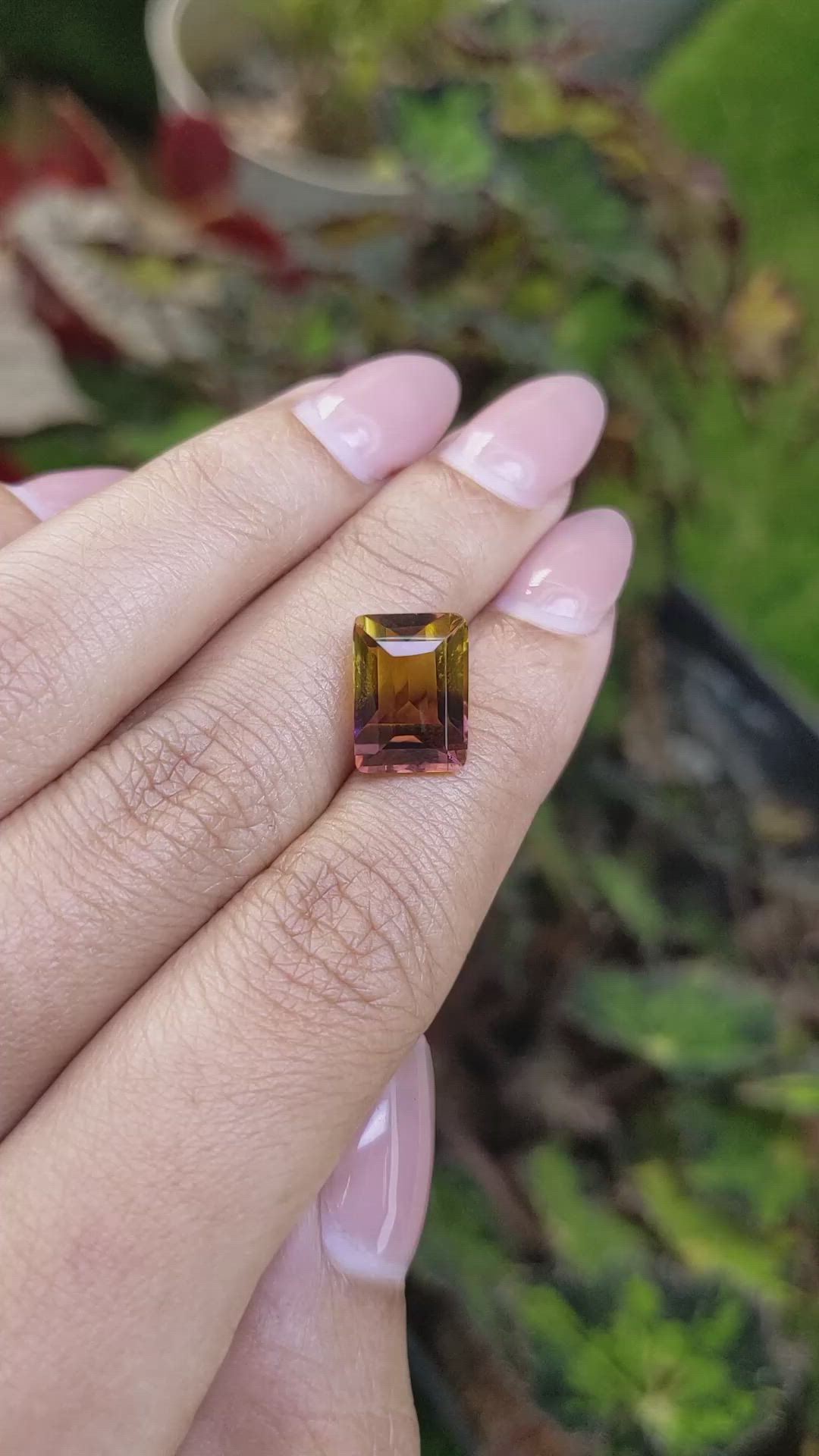 5.63 Ct. Bi Color Ametrine from Brazil Size Video