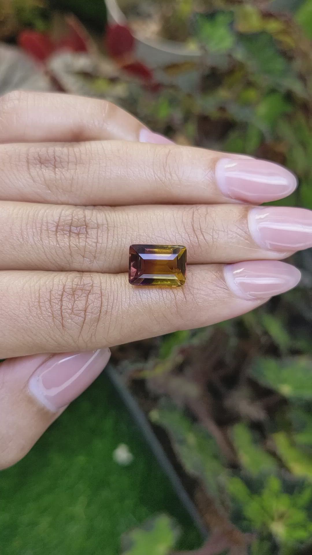 5.63 Ct. Bi Color Ametrine from Brazil Size Video