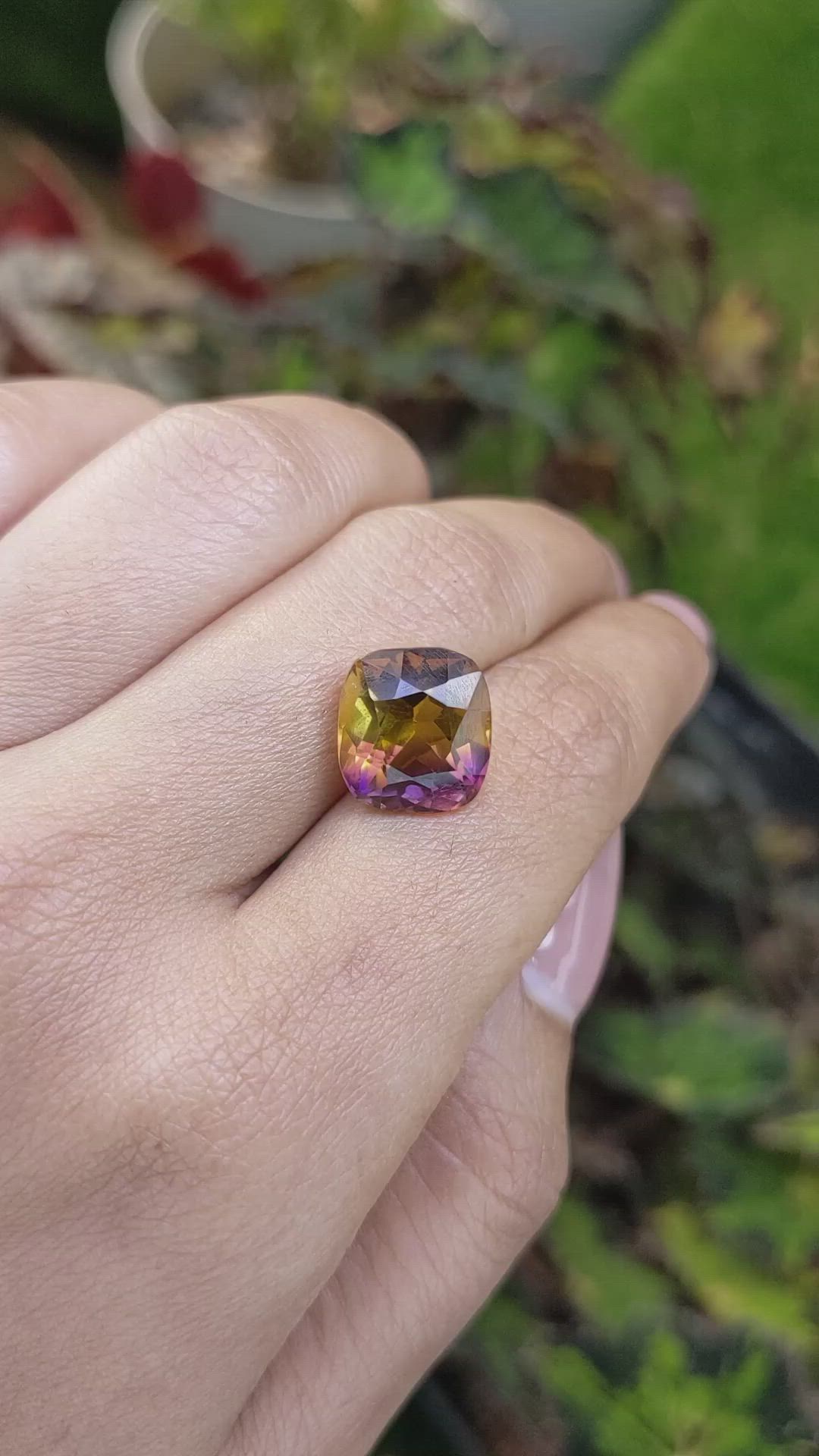 7.23 Ct. Bi Color Ametrine from Brazil Size Video