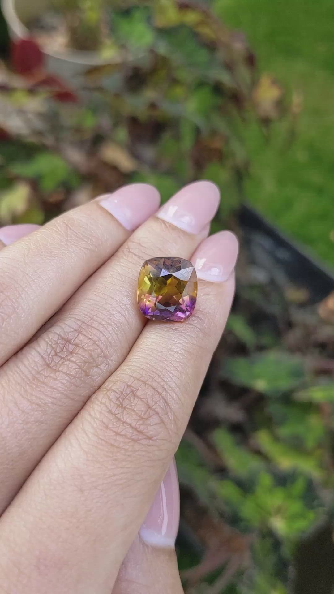 7.23 Ct. Bi Color Ametrine from Brazil Size Video