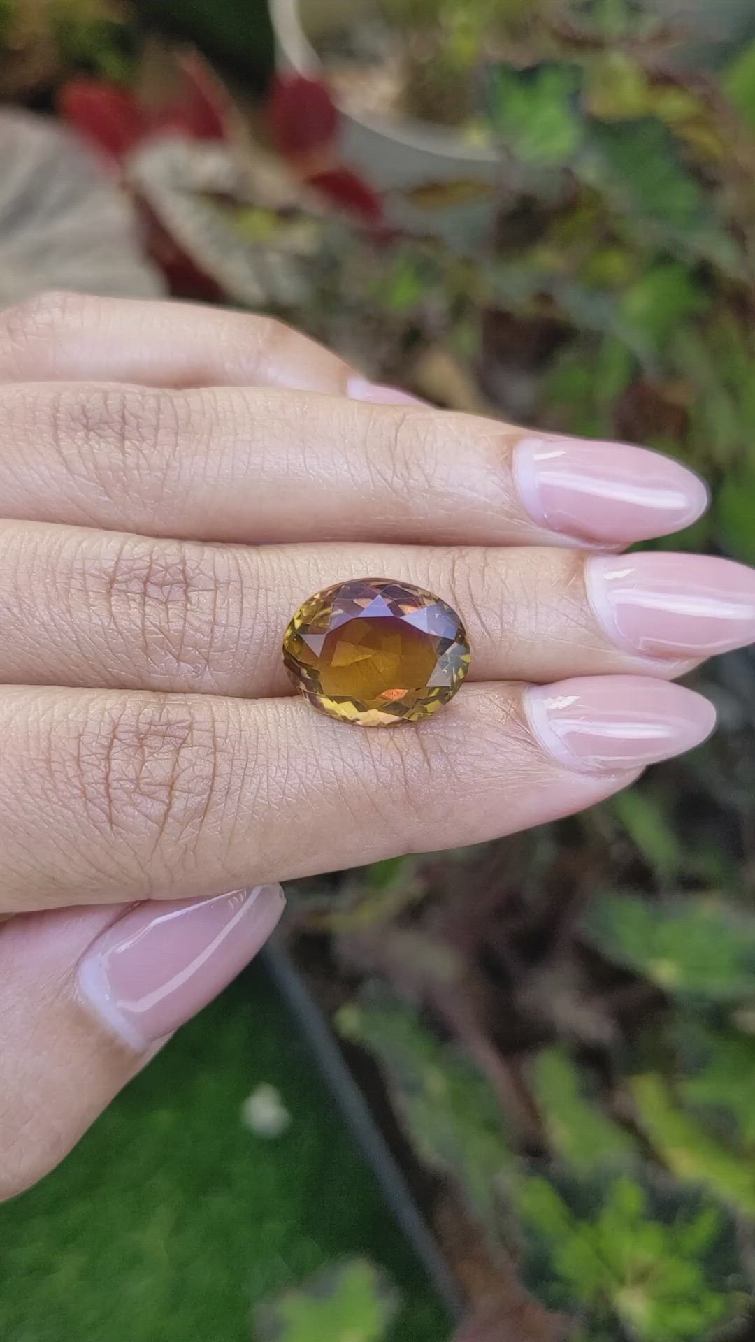 8.14 Ct. Bi Color Ametrine from Brazil Size Video