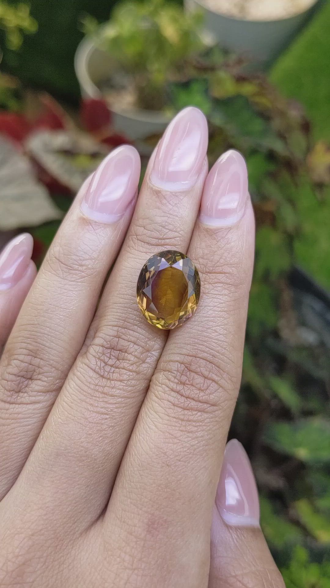 8.14 Ct. Bi Color Ametrine from Brazil Size Video