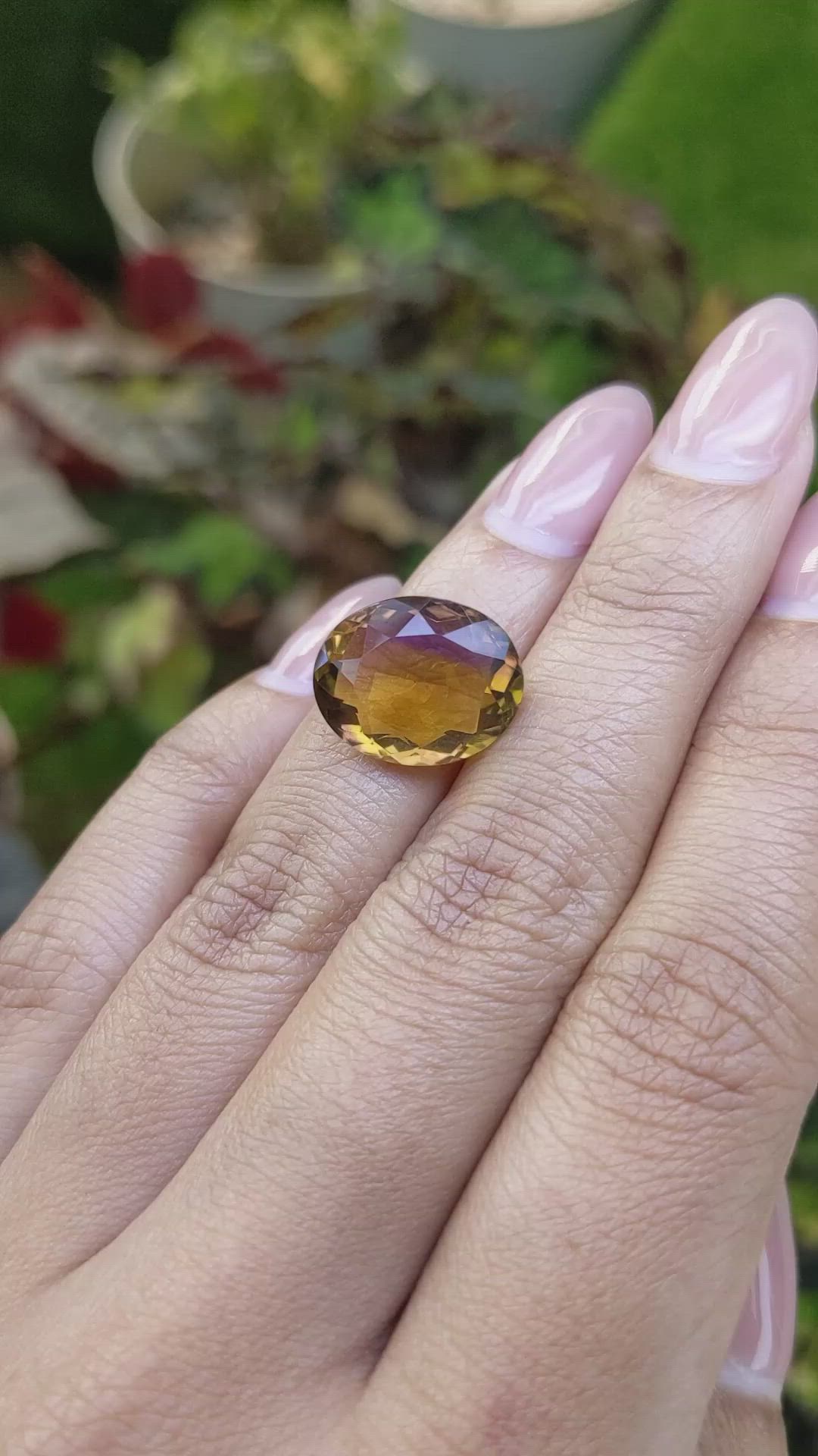 8.14 Ct. Bi Color Ametrine from Brazil Size Video