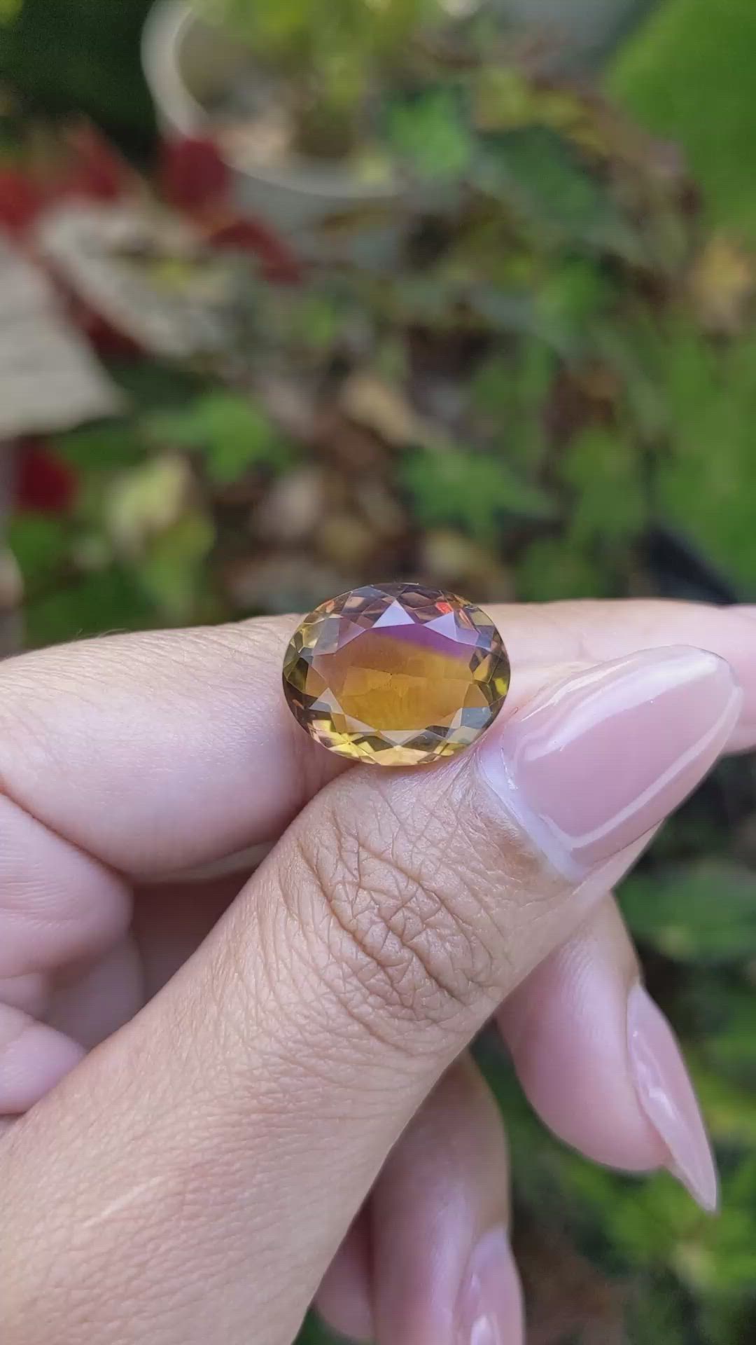 8.14 Ct. Bi Color Ametrine from Brazil Size Video