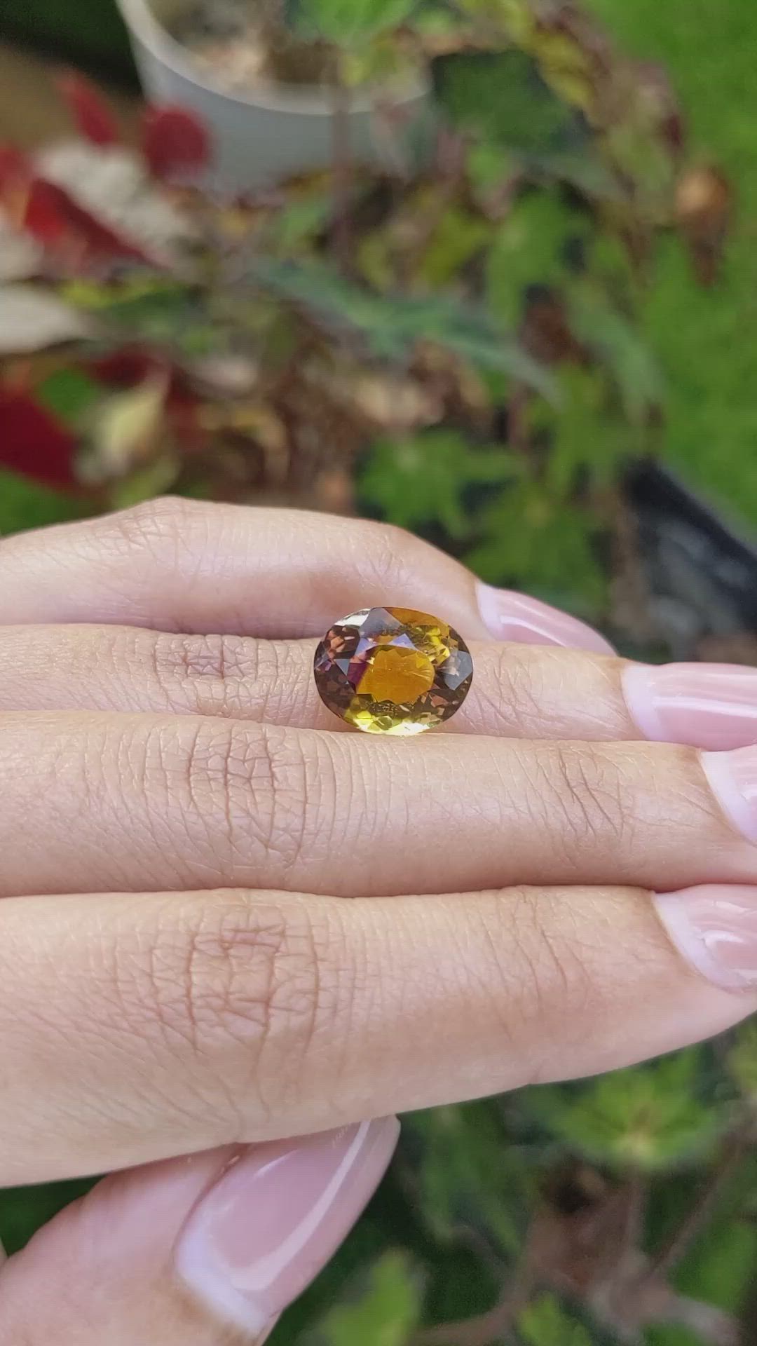 6.35 Ct. Bi Color Ametrine from Brazil Size Video