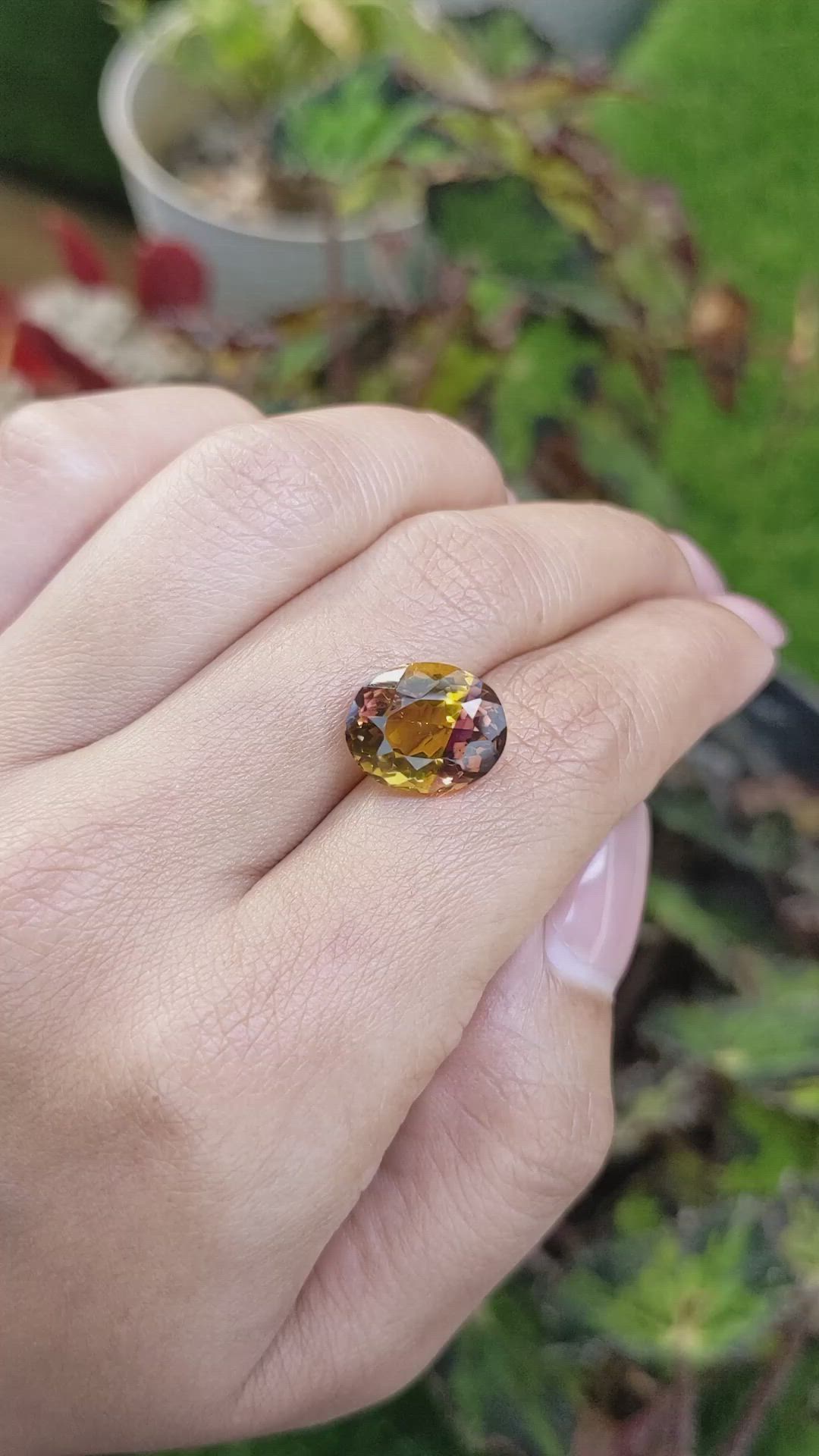 6.35 Ct. Bi Color Ametrine from Brazil Size Video