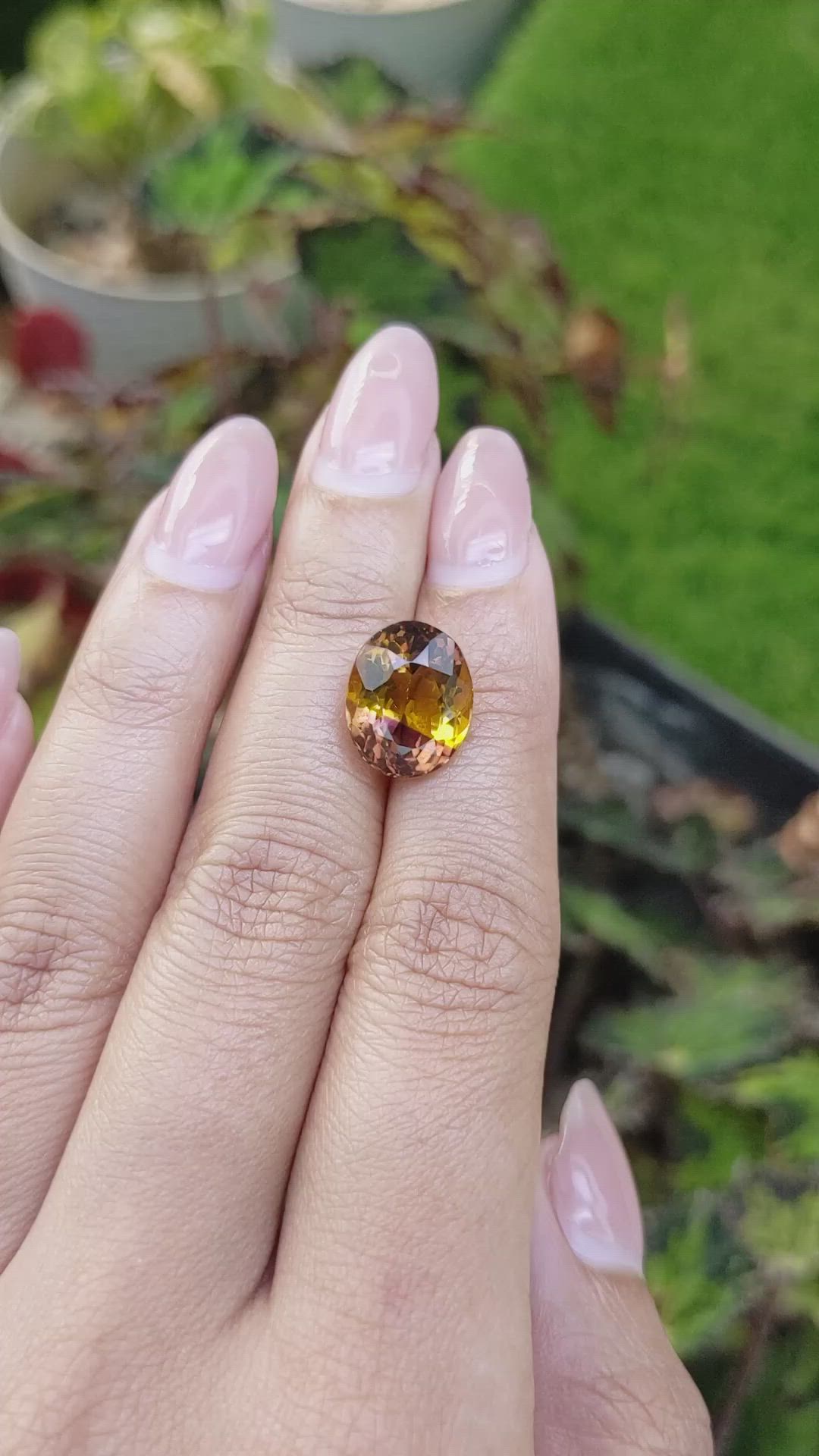 6.35 Ct. Bi Color Ametrine from Brazil Size Video