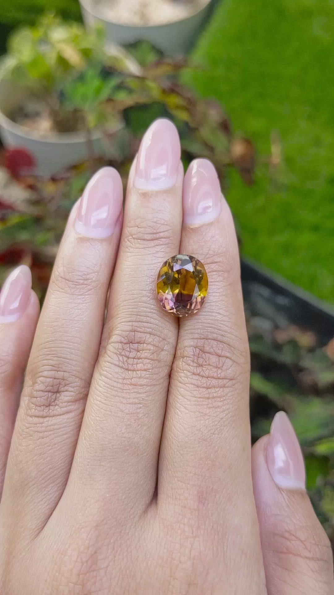 6.70 Ct. Bi Color Ametrine from Brazil Size Video
