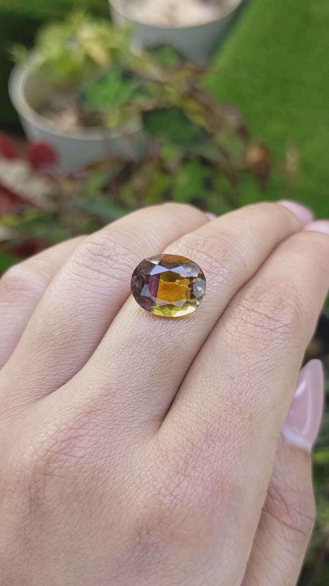 6.70 Ct. Bi Color Ametrine from Brazil Size Video