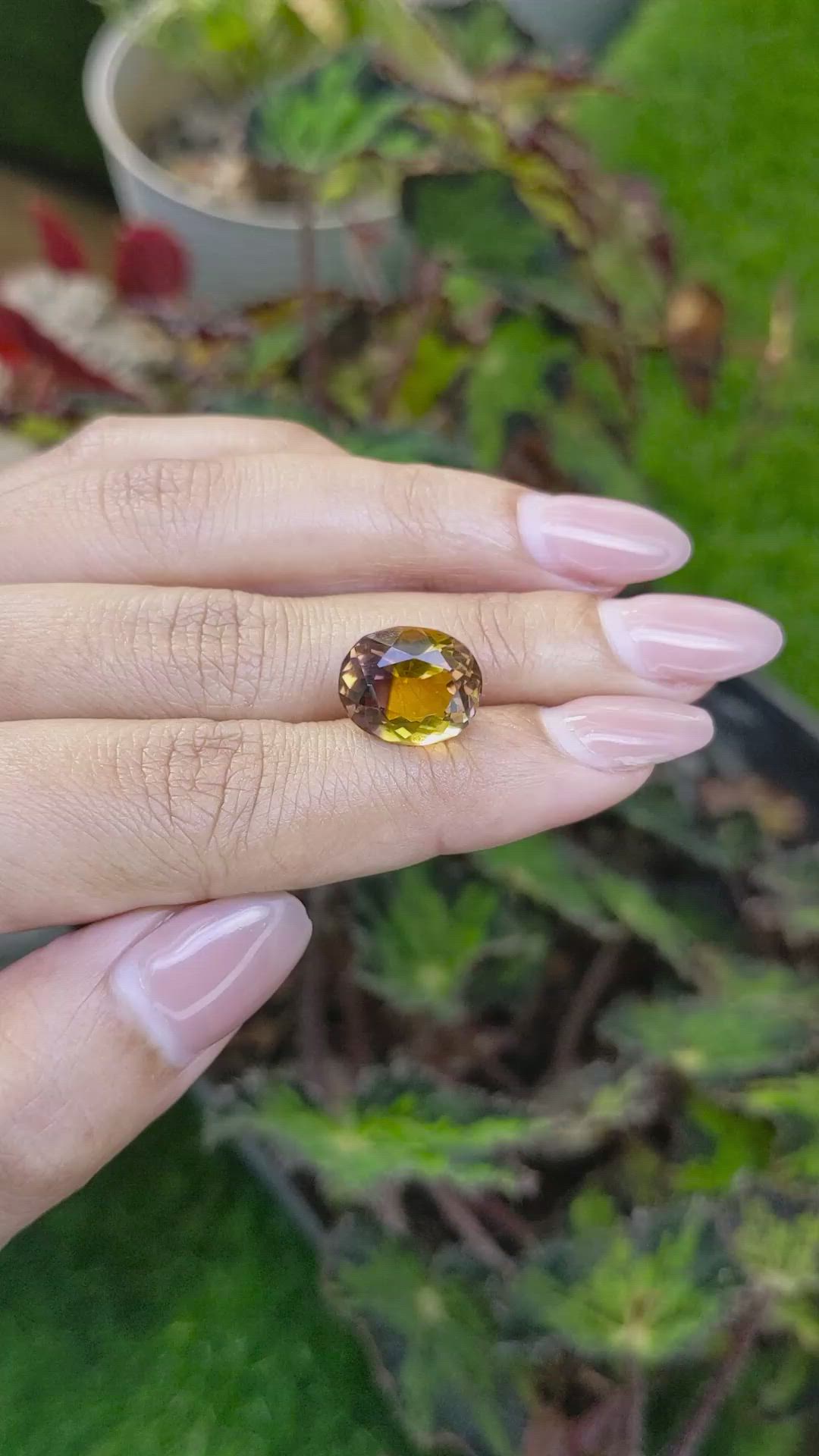 6.70 Ct. Bi Color Ametrine from Brazil Size Video