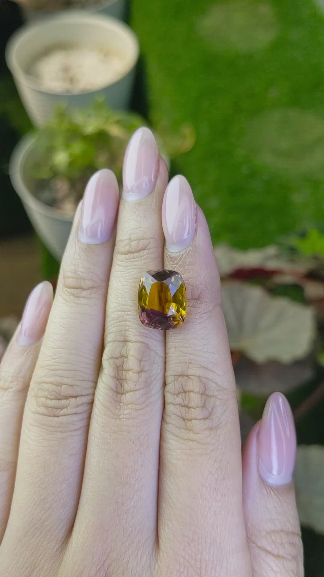 6.86 Ct. Bi Color Ametrine from Brazil Size Video