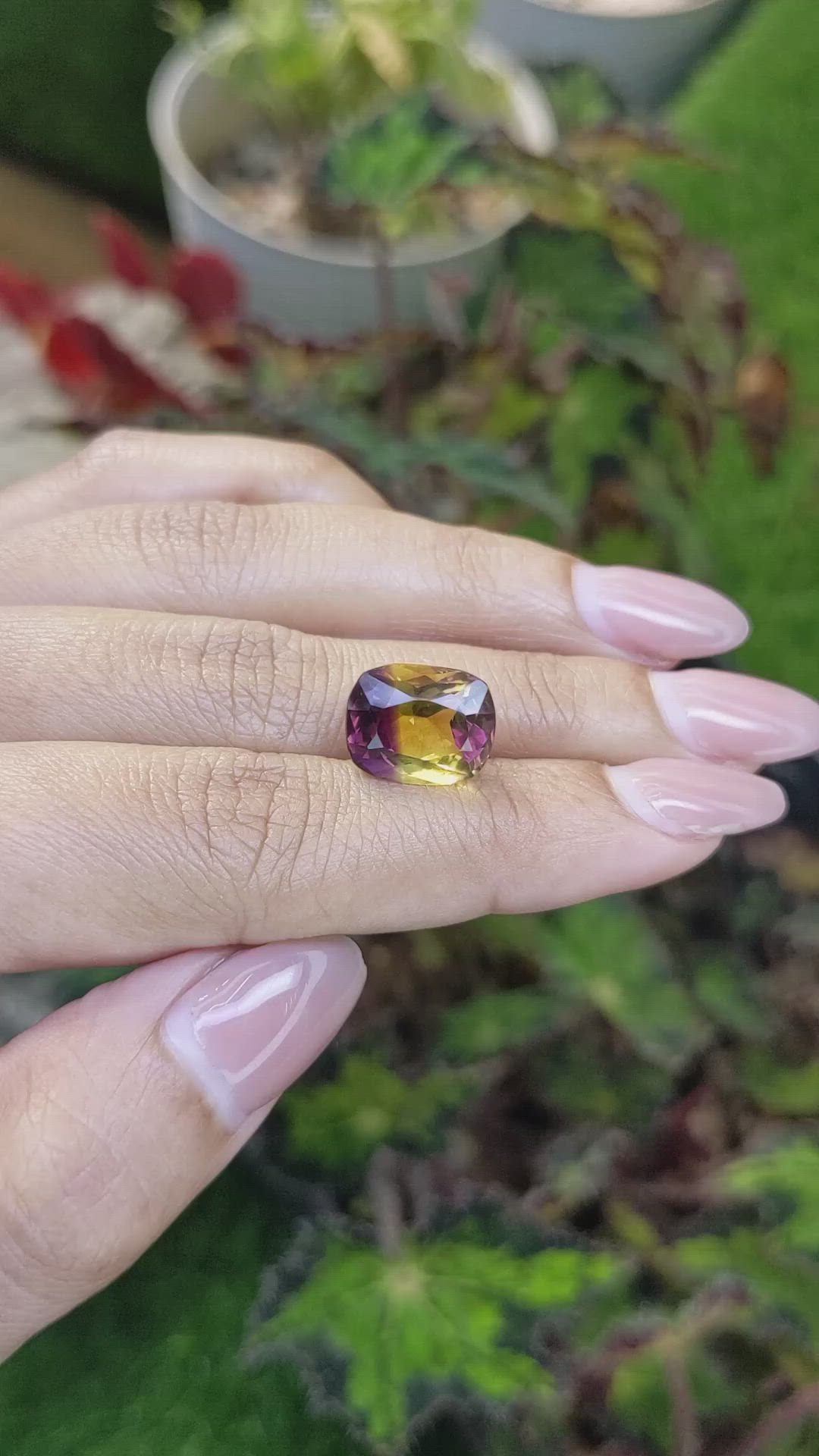 6.77 Ct. Bi Color Ametrine from Brazil Size Video