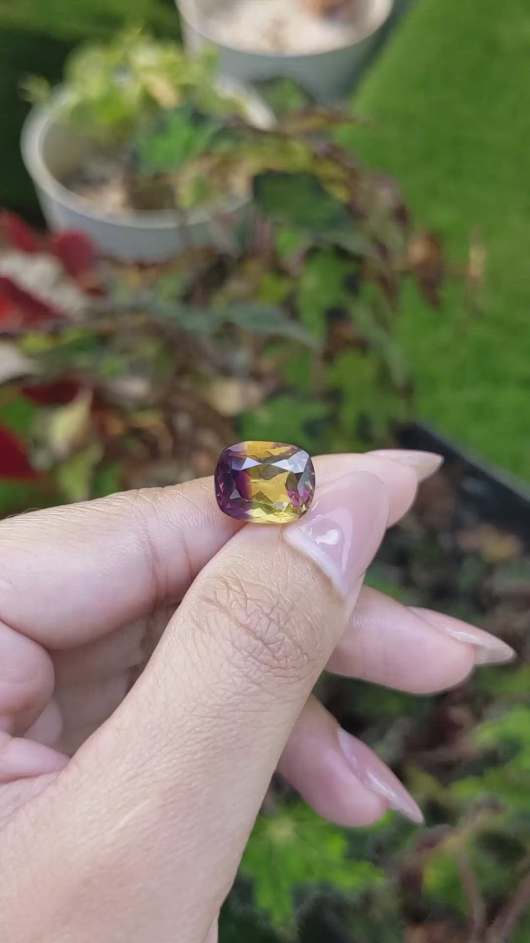 6.77 Ct. Bi Color Ametrine from Brazil Size Video
