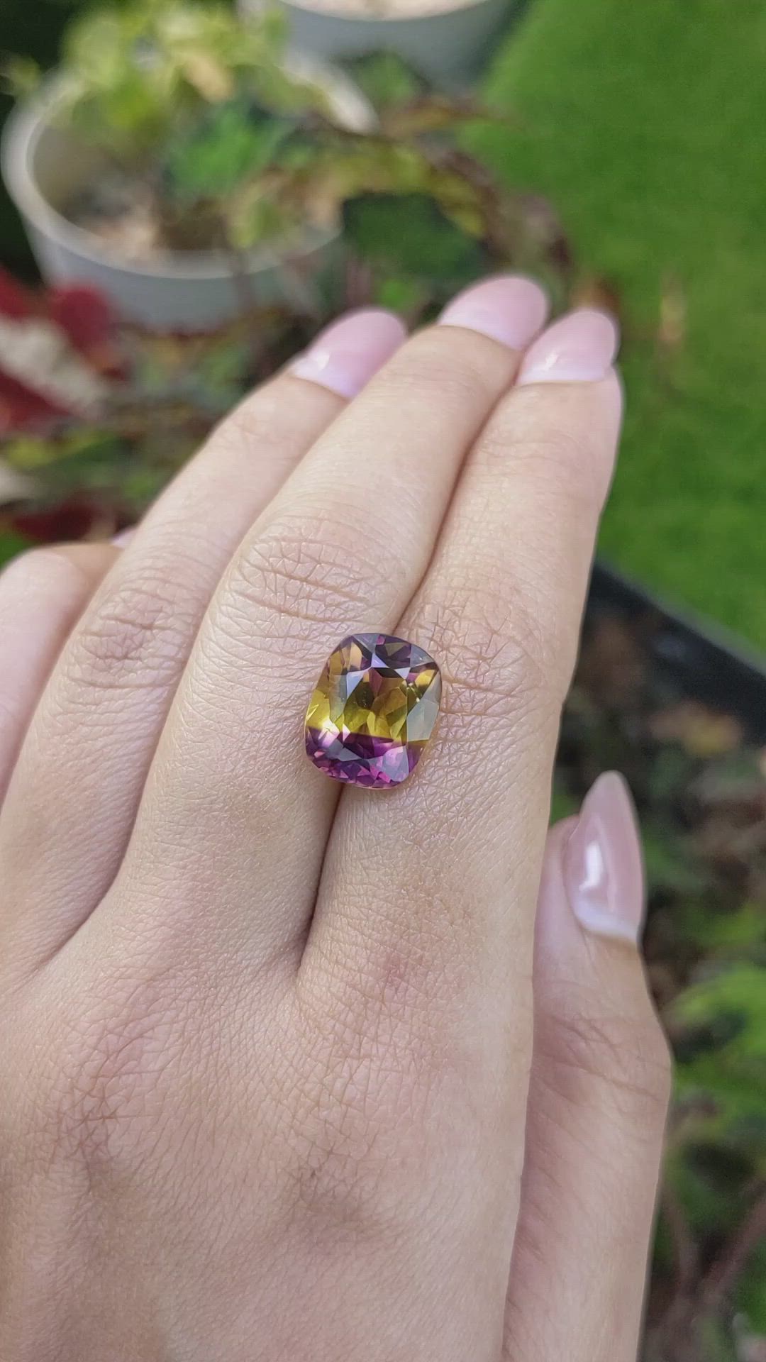 6.77 Ct. Bi Color Ametrine from Brazil Size Video