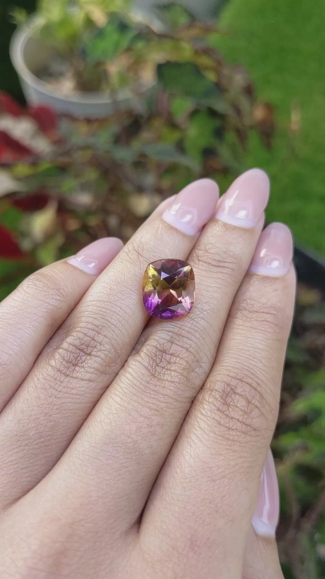 6.79 Ct. Bi Color Ametrine from Brazil Size Video