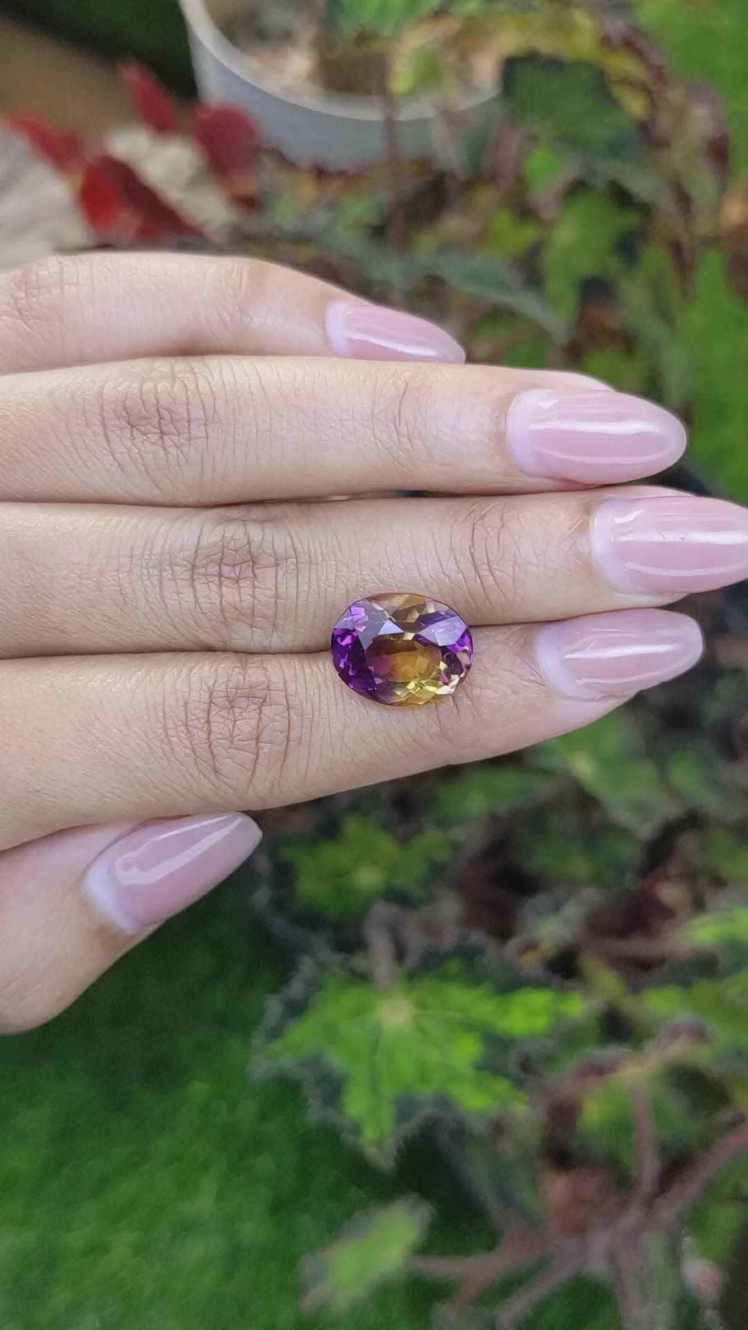 7.89 Ct. Bi Color Ametrine from Brazil Size Video