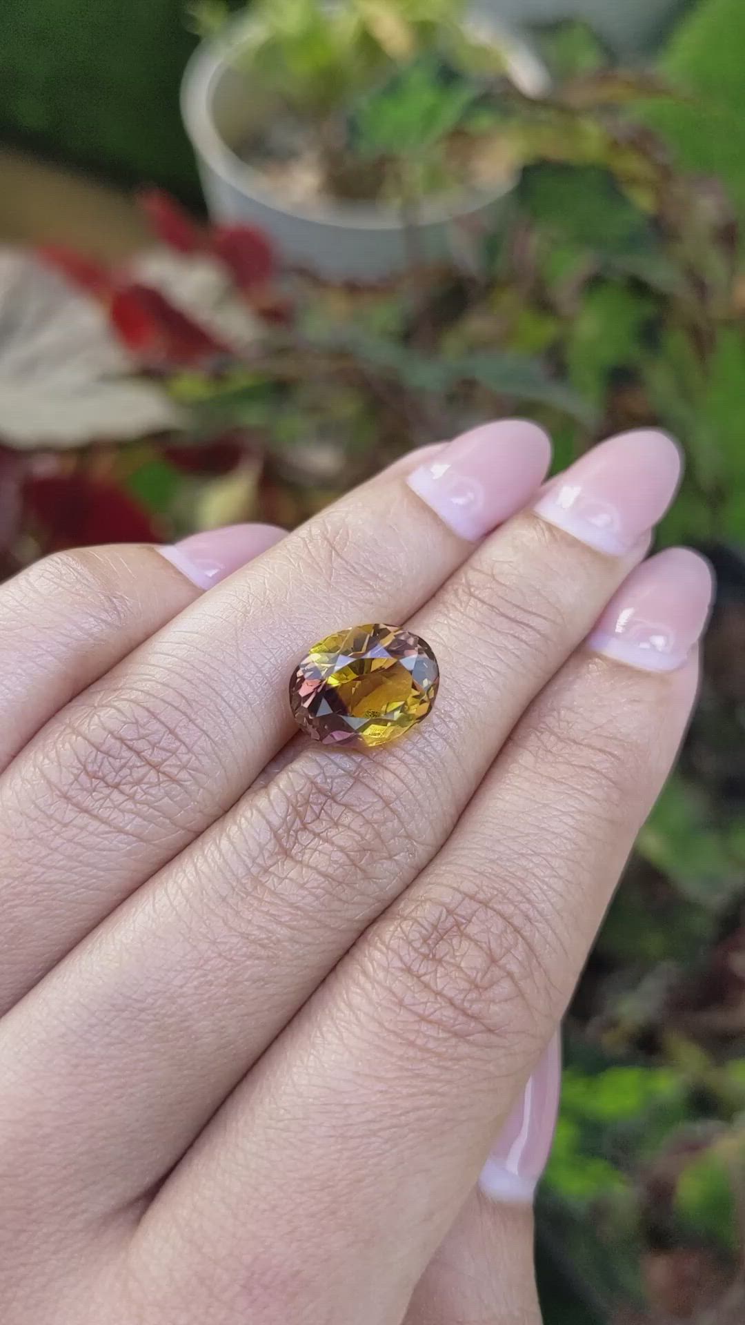 6.09 Ct. Bi Color Ametrine from Brazil Size Video