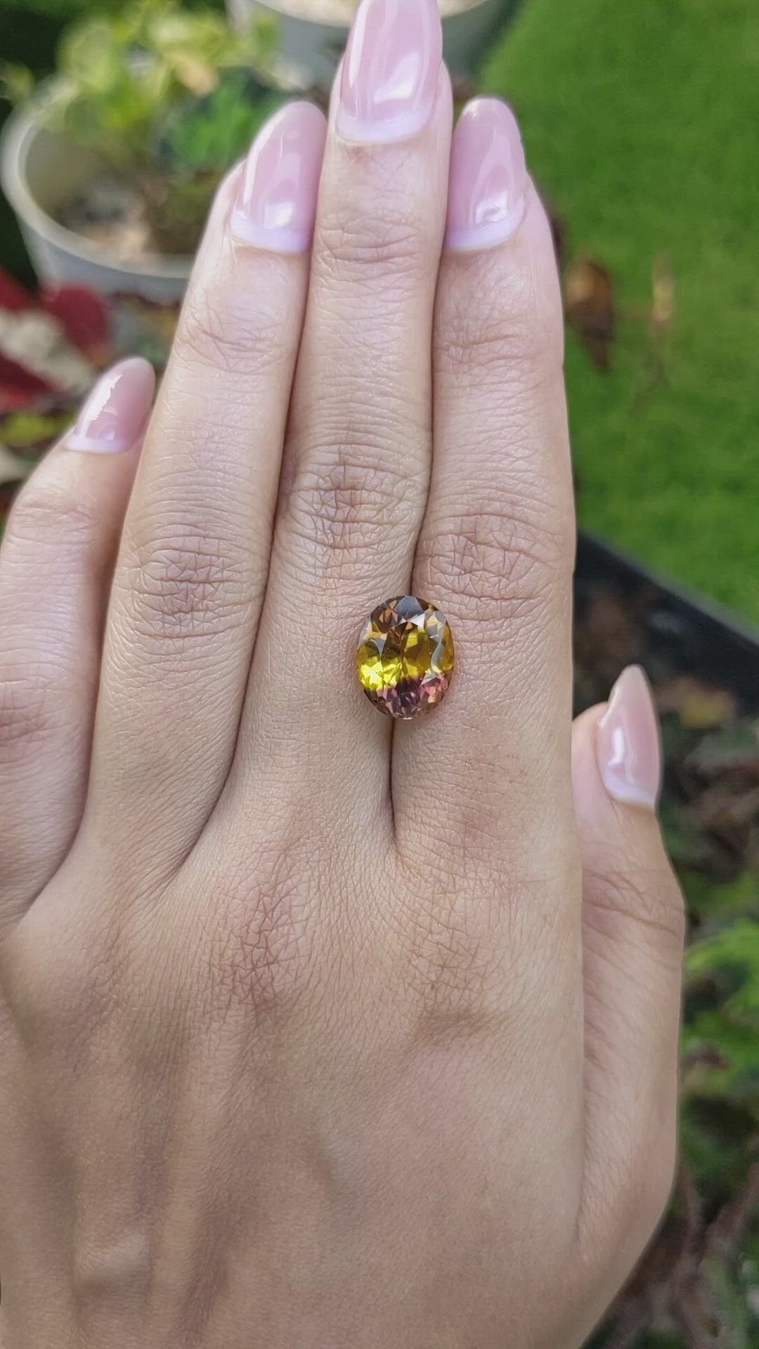 6.09 Ct. Bi Color Ametrine from Brazil Size Video