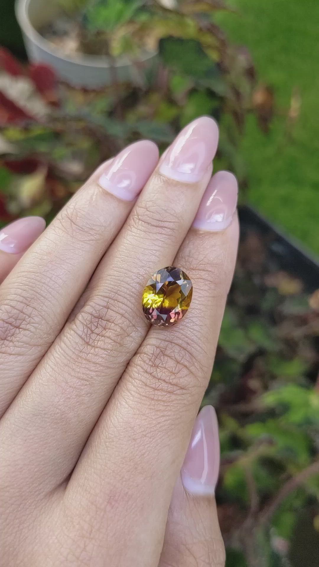6.09 Ct. Bi Color Ametrine from Brazil Size Video