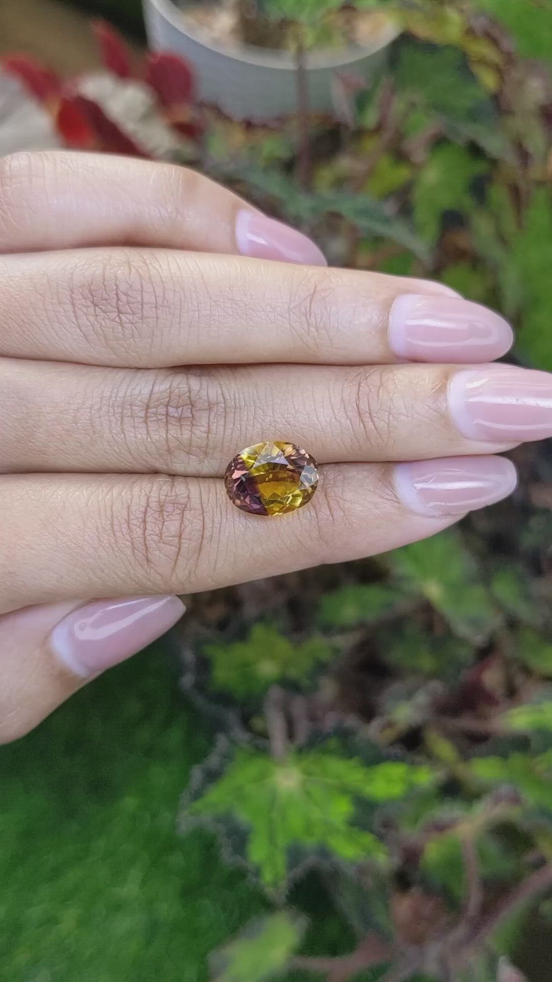 6.09 Ct. Bi Color Ametrine from Brazil Size Video