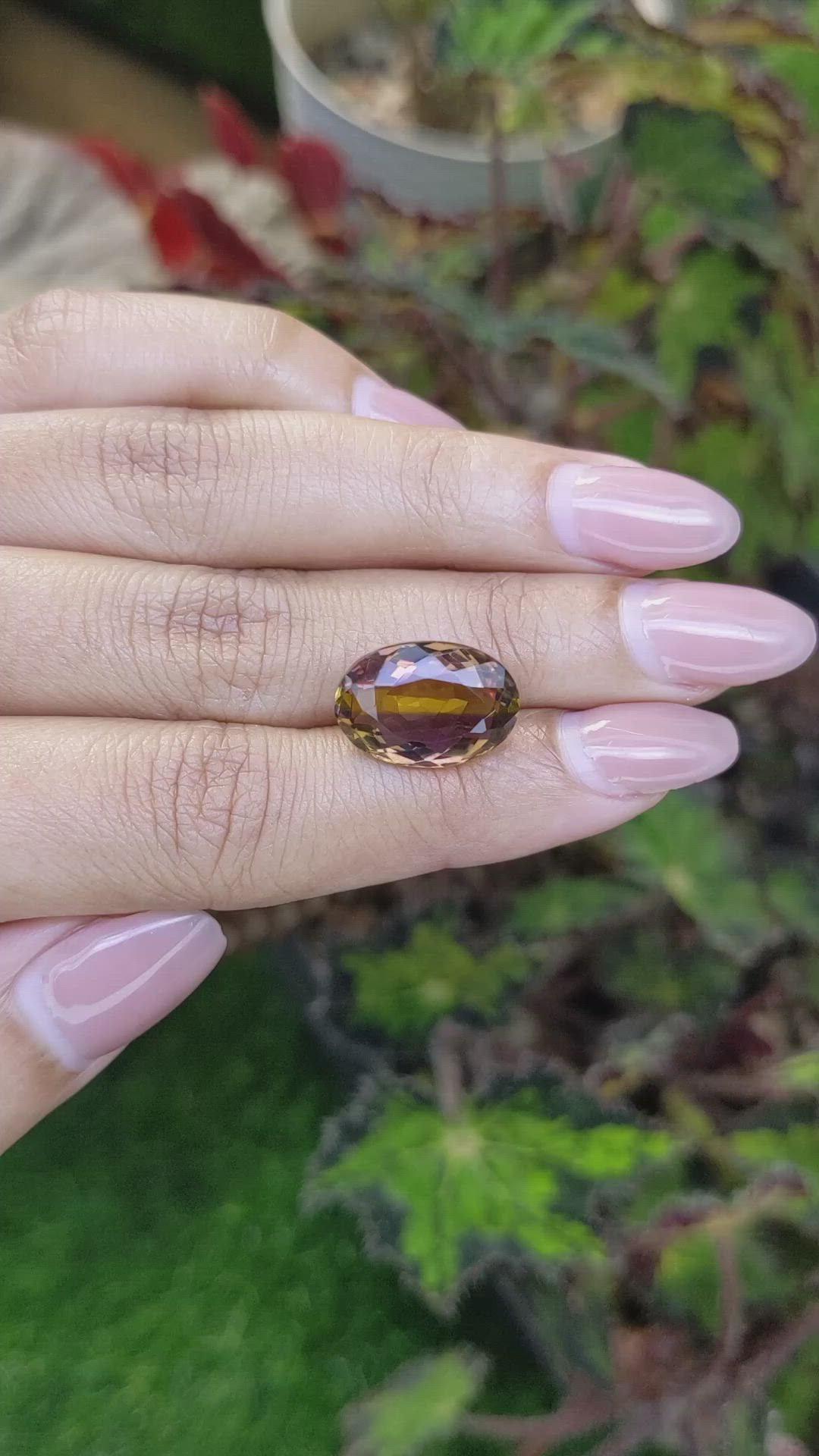 8.56 Ct. Bi Color Ametrine from Brazil Size Video