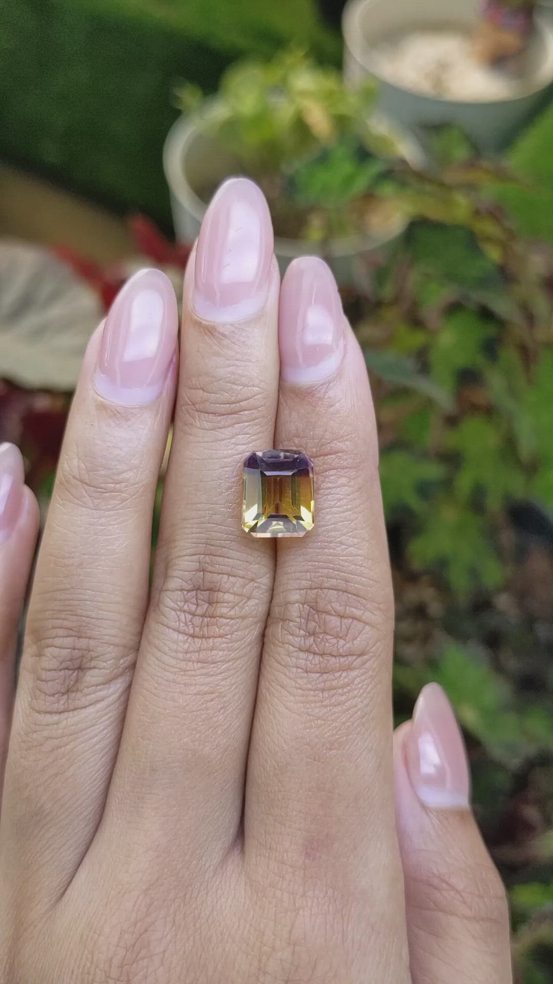5.36 Ct. Bi Color Ametrine from Brazil Size Video
