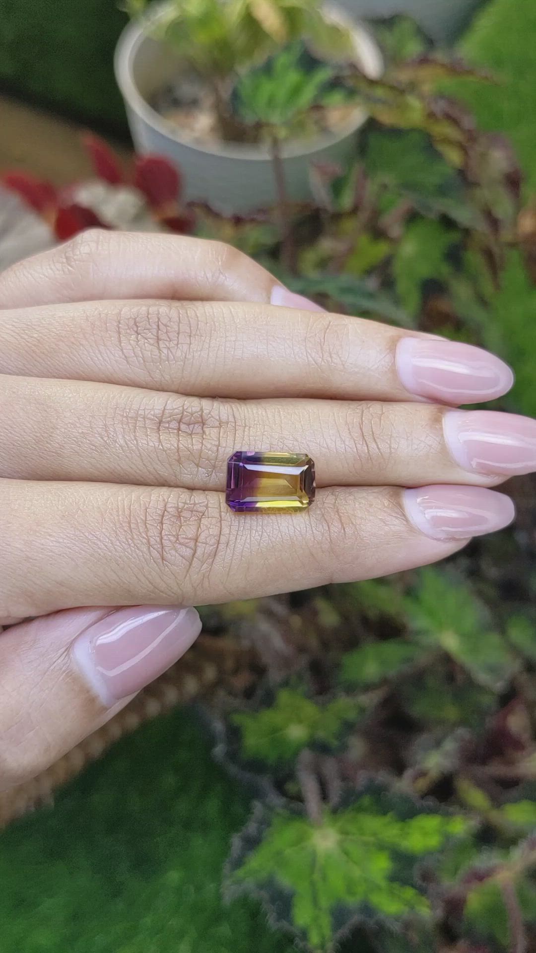 5.08 Ct. Bi Color Ametrine from Brazil Size Video
