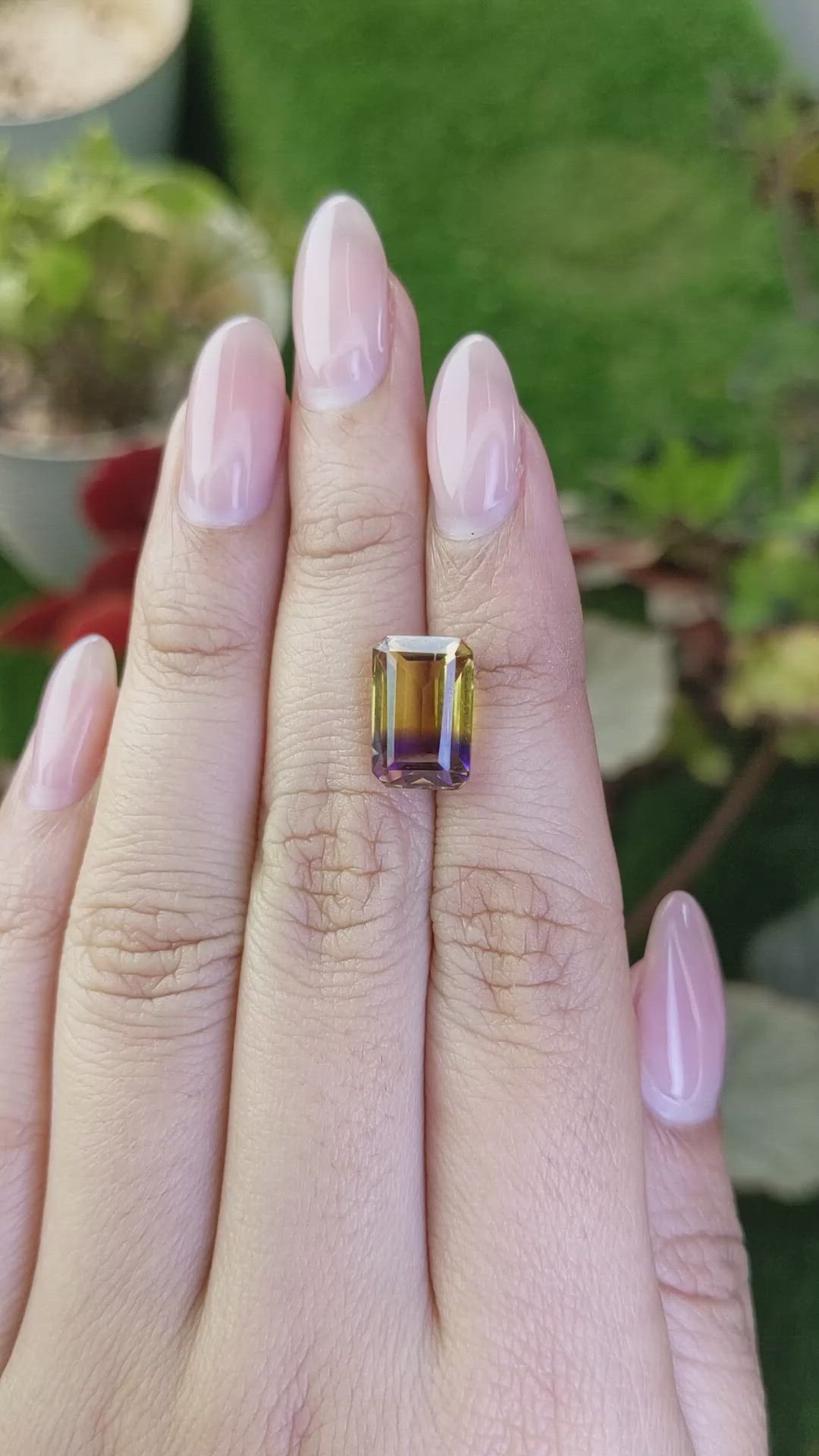 5.56 Ct. Bi Color Ametrine from Brazil Size Video