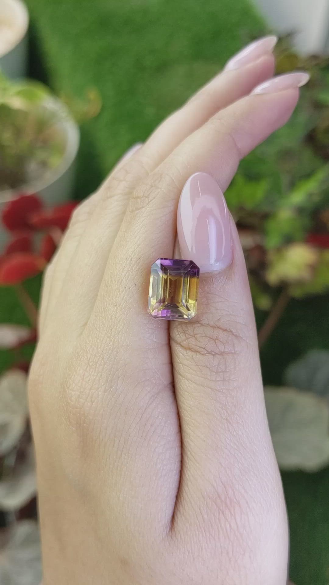 6.57 Ct. Bi Color Ametrine from Ceylon (Sri Lanka) Size Video