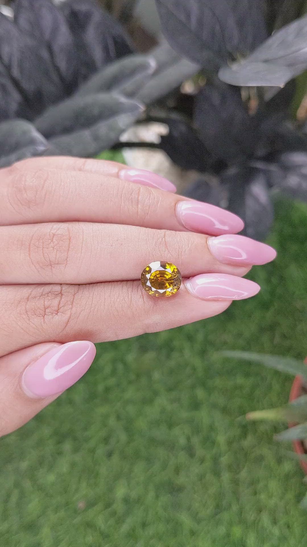 5.52 Ct. Yellowish Brown Zircon from Ceylon (Sri Lanka) Size Video