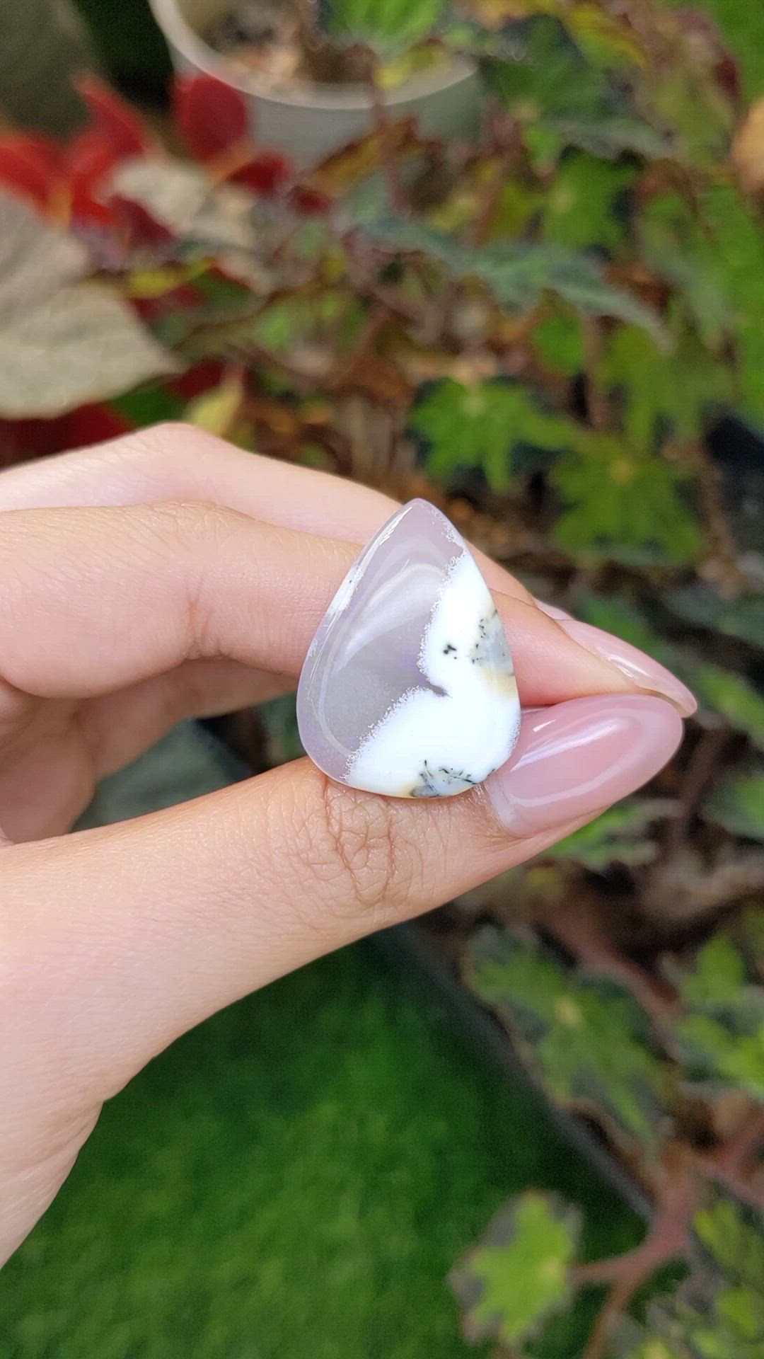 22.78 Ct. Multi Color Cabochon Agate from Madagascar Size Video