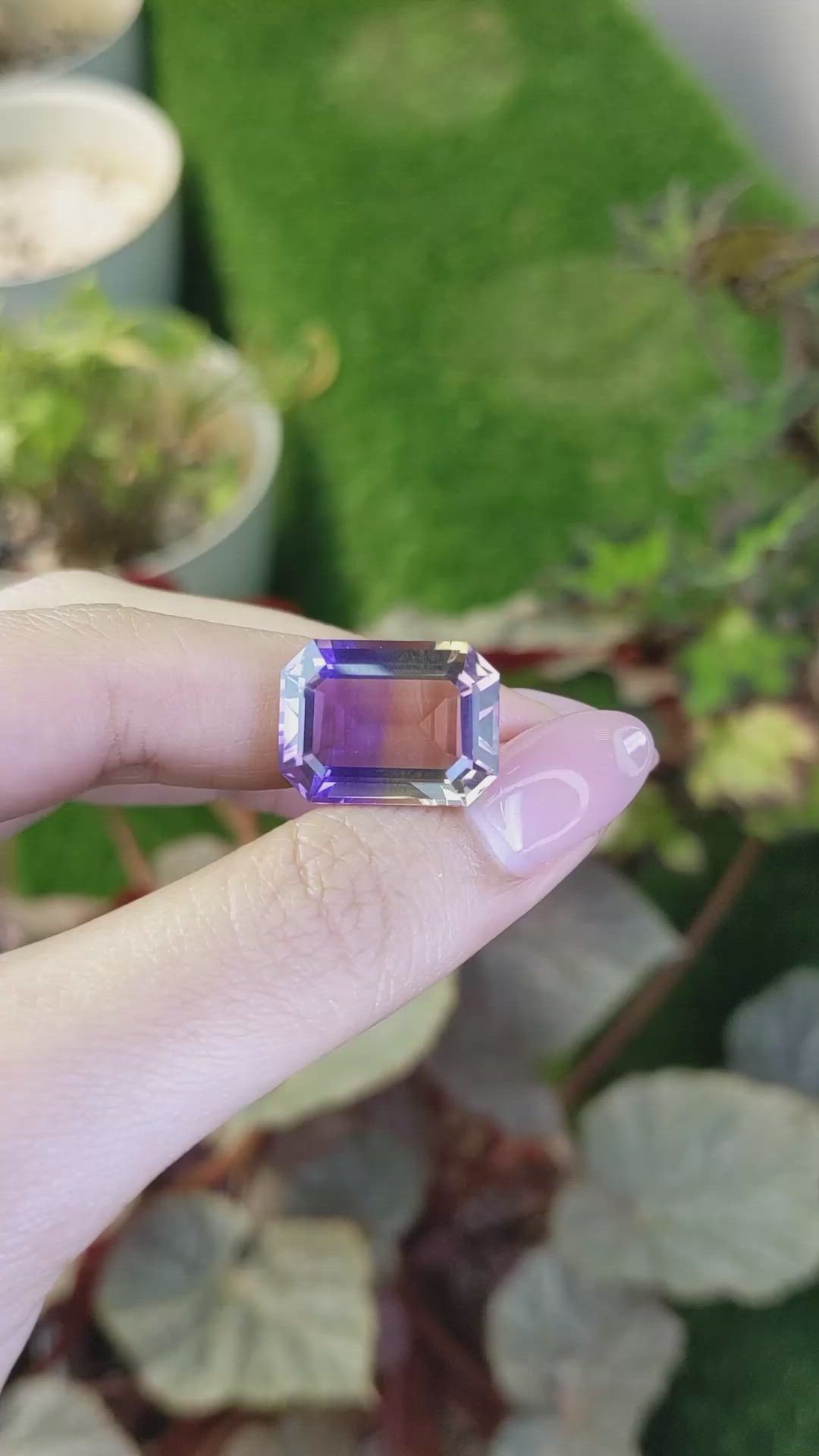 15.13 Ct. Bi Color Ametrine from Ceylon (Sri Lanka) Size Video