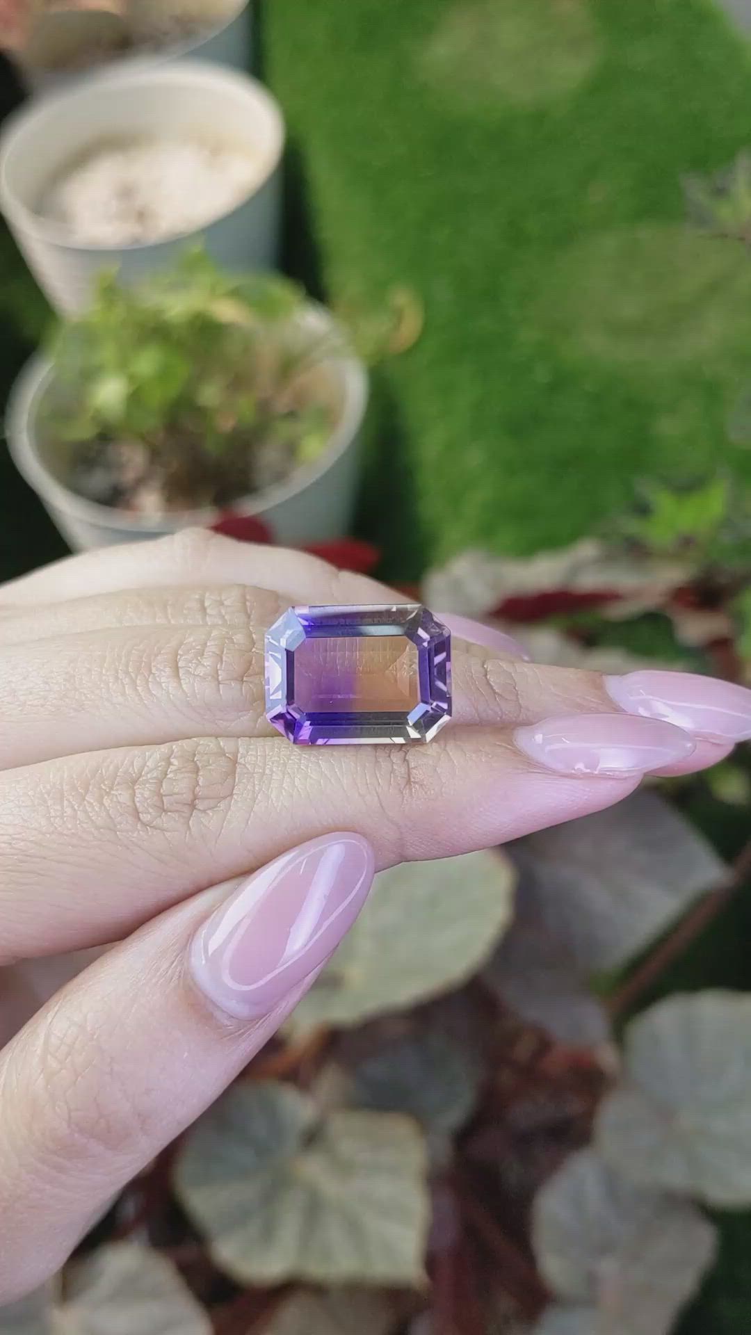 15.13 Ct. Bi Color Ametrine from Ceylon (Sri Lanka) Size Video