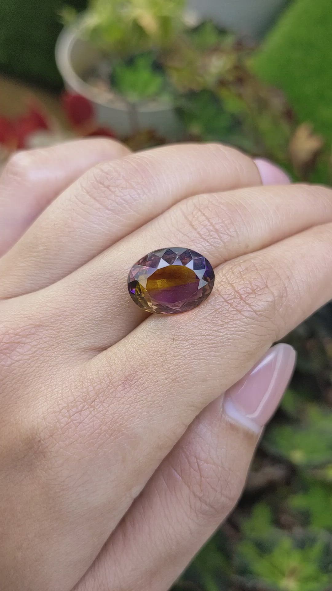 9.05 Ct. Bi Color Ametrine from Brazil Size Video