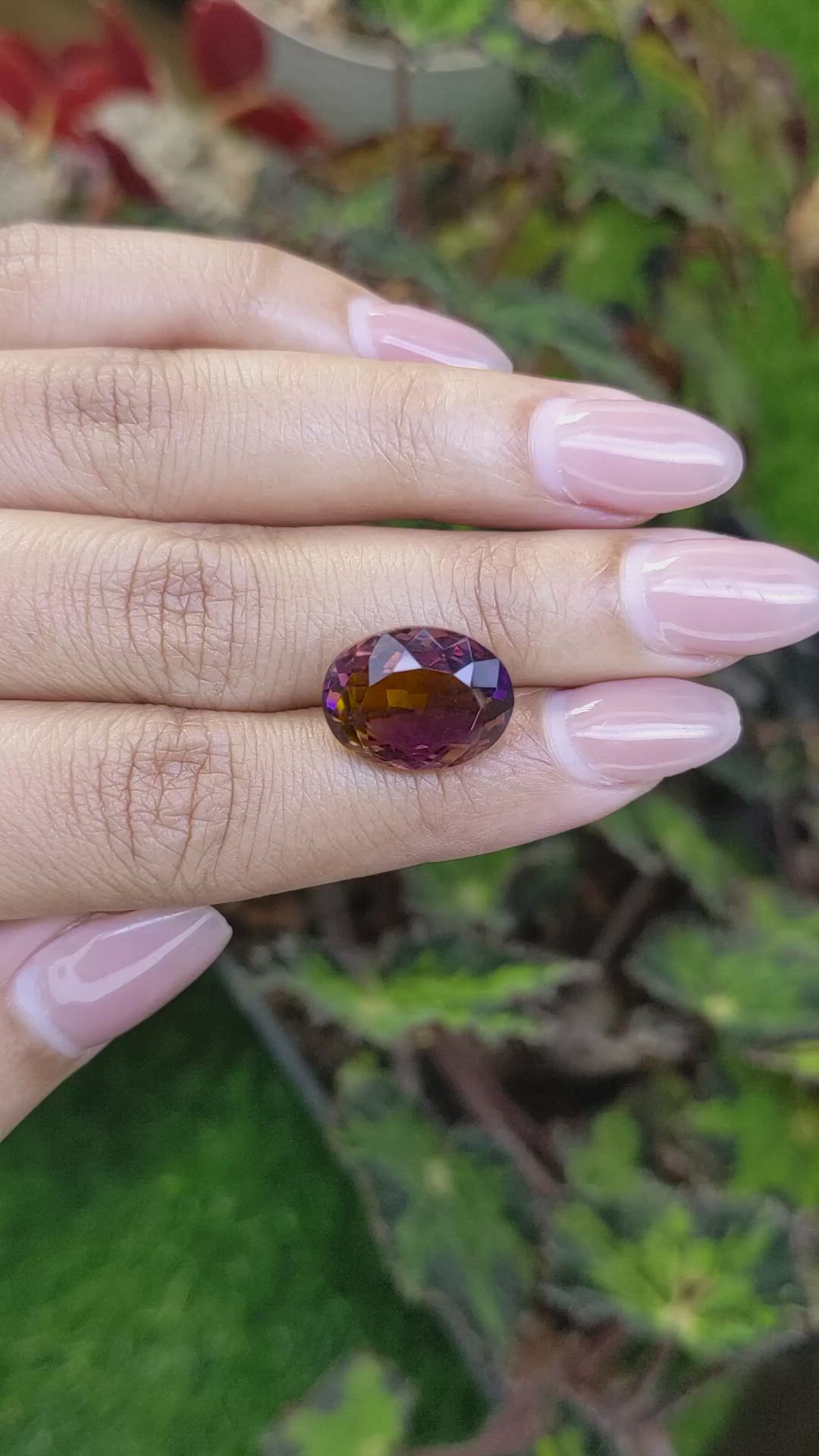 9.05 Ct. Bi Color Ametrine from Brazil Size Video