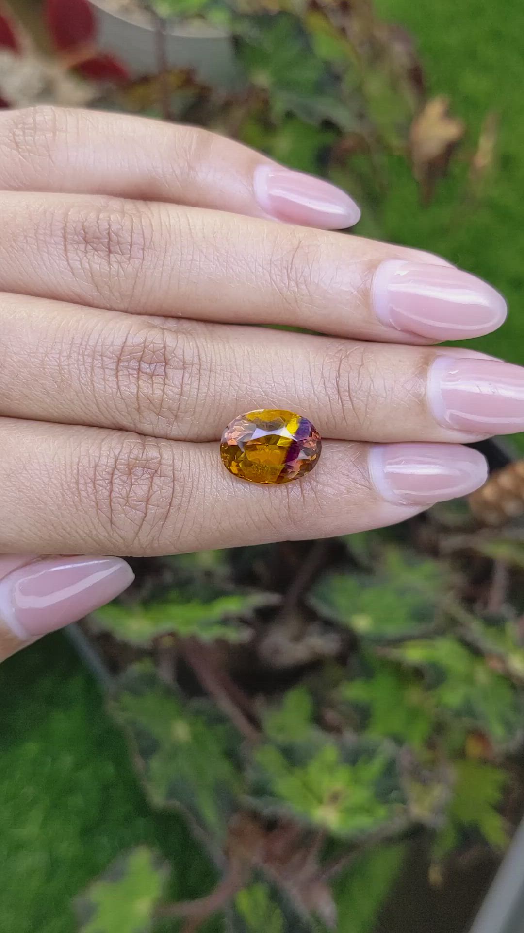 5.68 Ct. Bi Color Ametrine from Brazil Size Video