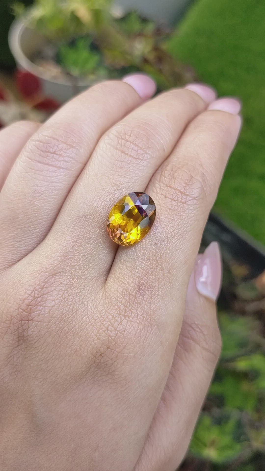 5.68 Ct. Bi Color Ametrine from Brazil Size Video